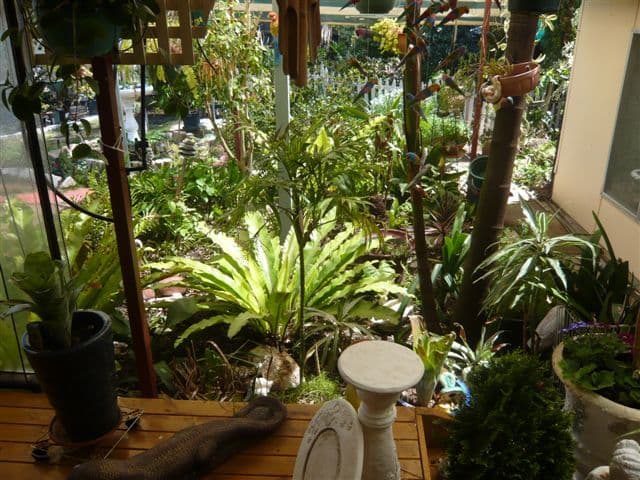 8 Robin Terrace, HOPE VALLEY SA 5090, Hope Valley - Thumbnail 6