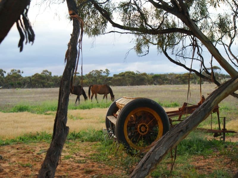 Sec 472 Mannum Road, MURRAY BRIDGE SA 5253, Murray Bridge - Image 1