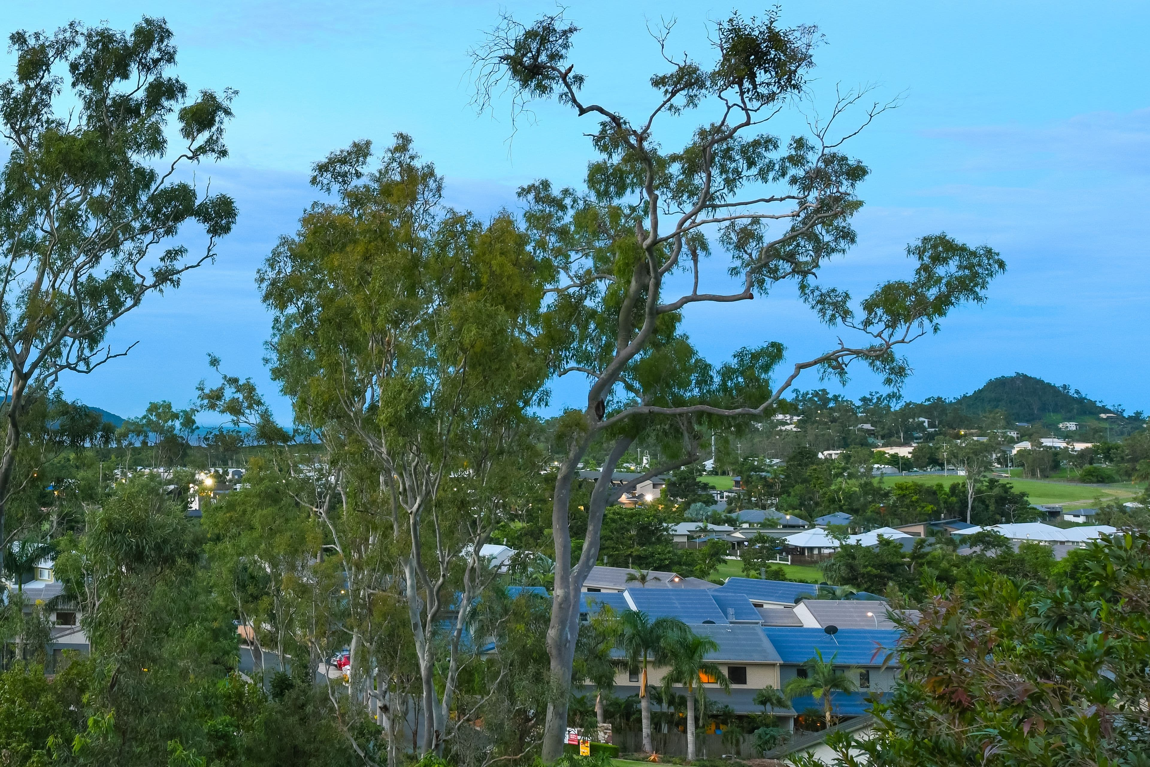 7 Daydream Court, Cannonvale QLD 4802, Cannonvale - Thumbnail 6