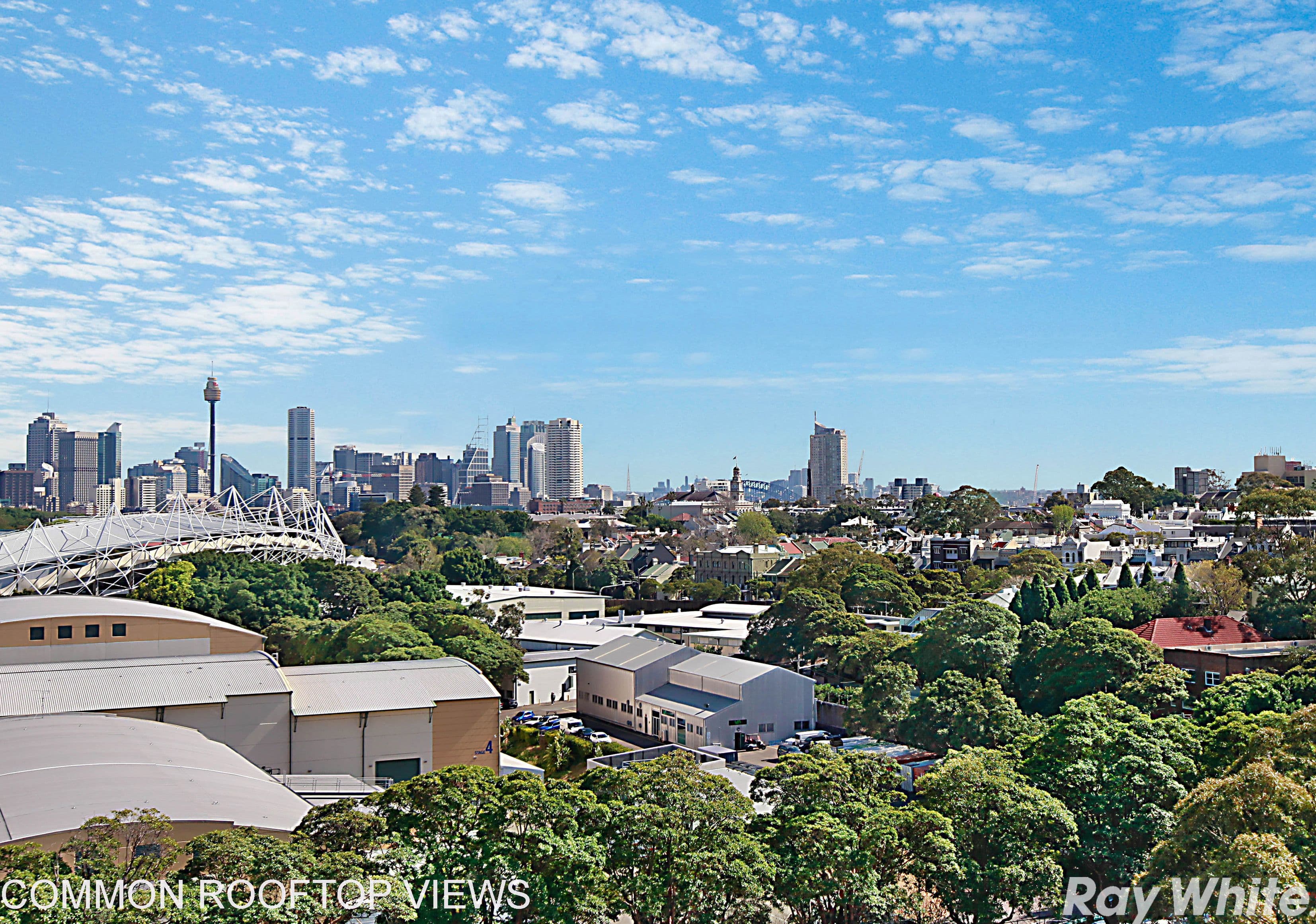 80 Cook Road, Centennial Park NSW 2021, Centennial Park - Thumbnail 3