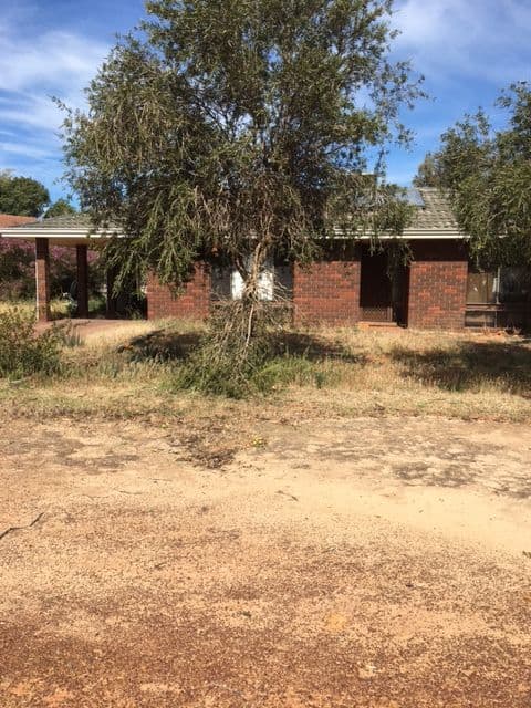 34 Repacholi Parade, Kondinin WA 6367, Kondinin - Thumbnail 5