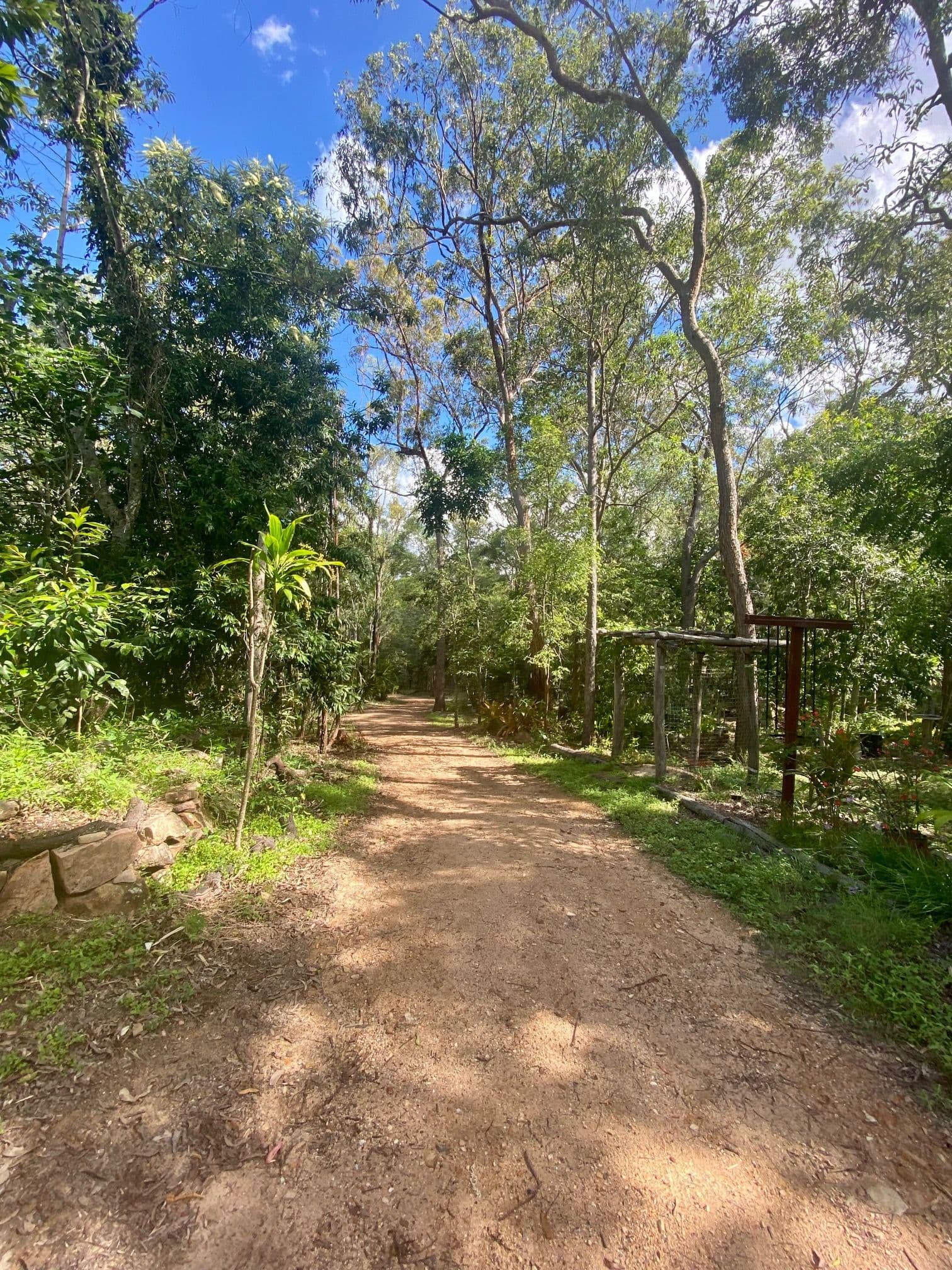 425 Creevey Drive, Captain Creek QLD 4677, Captain Creek - Thumbnail 6
