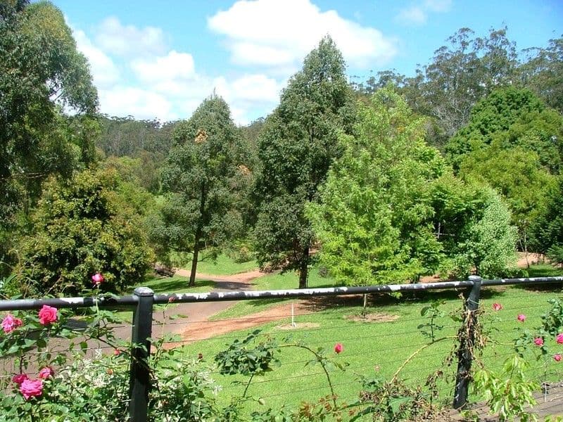 3143 Esk - Hampton Road, RAVENSBOURNE QLD 4352, Ravensbourne - Thumbnail 5