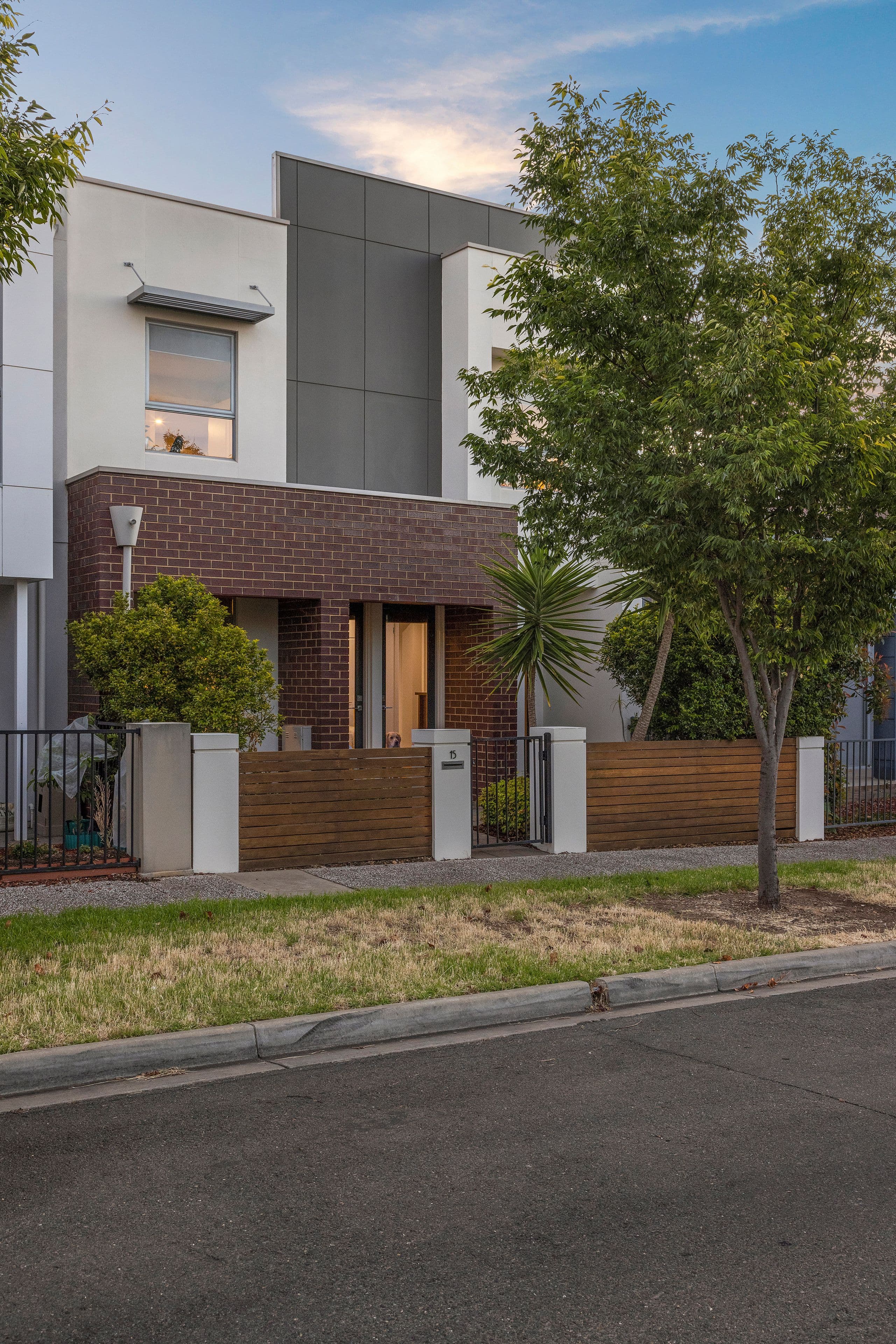 15 Rapid Avenue, Lightsview SA 5085, Lightsview - Thumbnail 3
