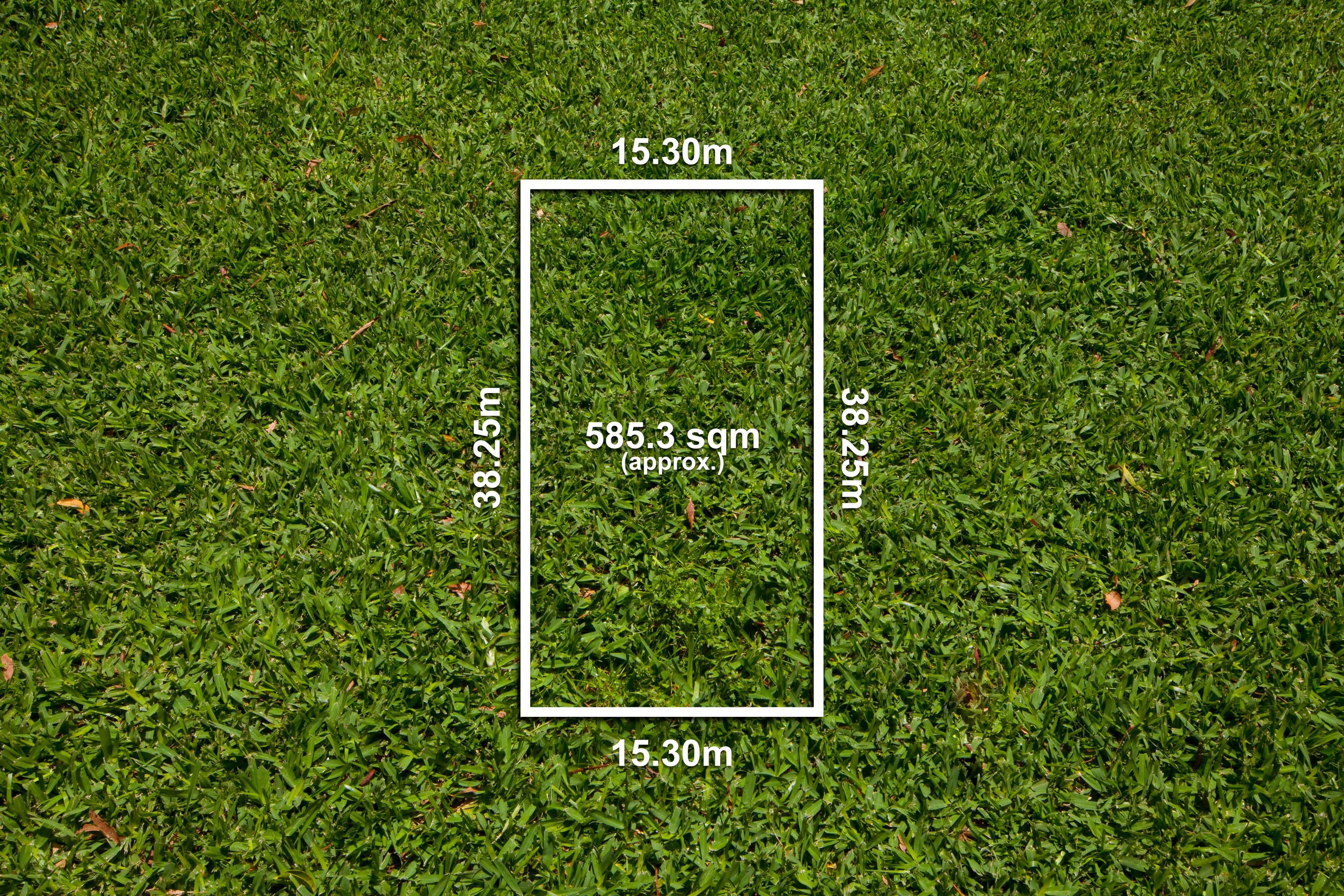 108 Croydon Road, Bexley, NSW 2207, Bexley - Thumbnail 4