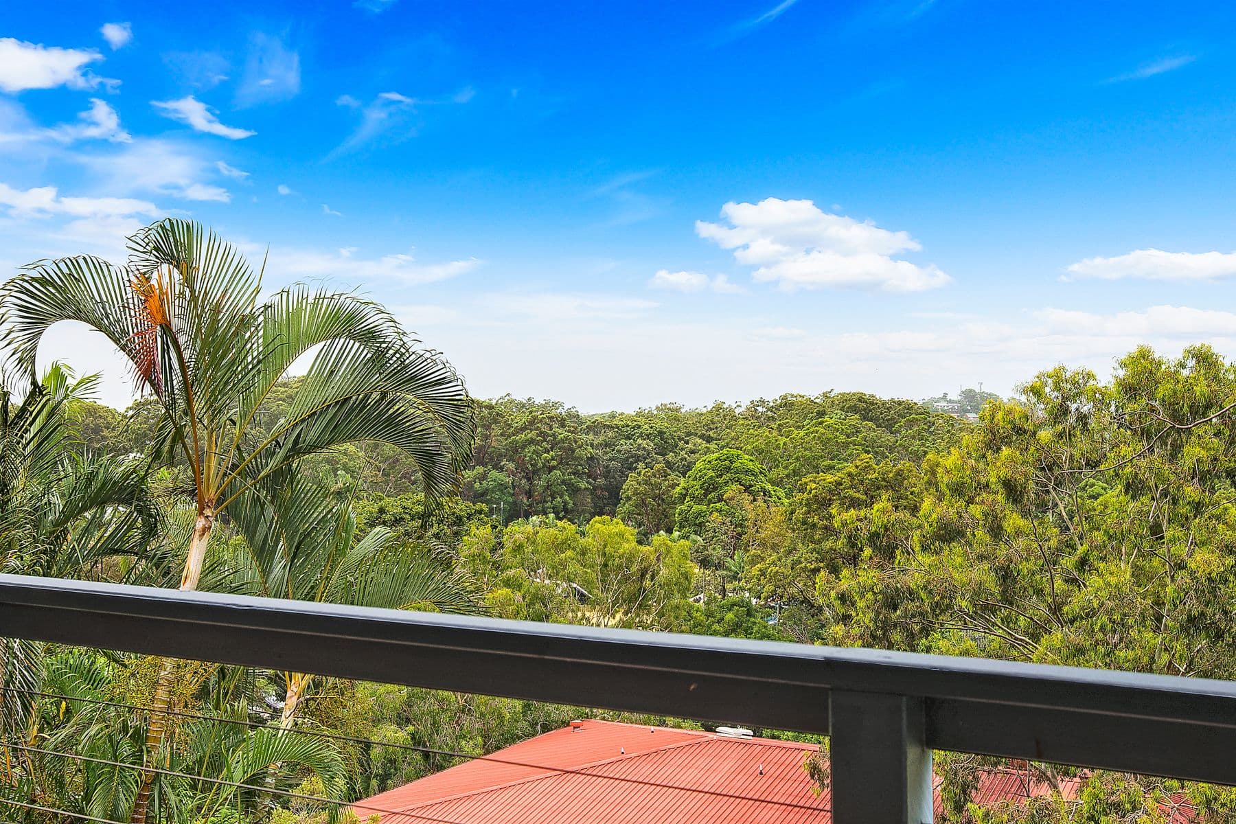 37 Golf Links Road, Buderim QLD 4556, Buderim - Thumbnail 6