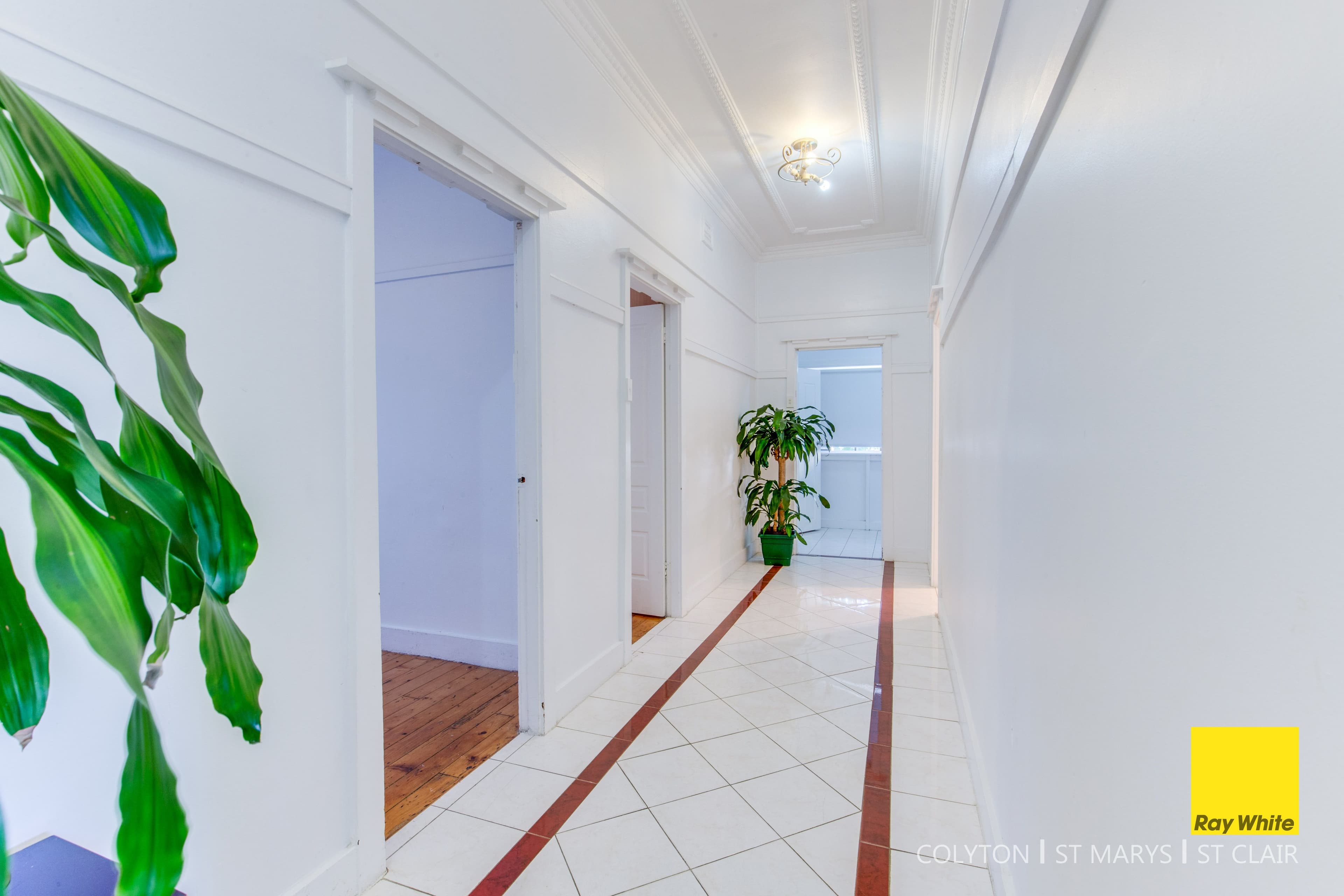 65 William Street, Condell Park - Thumbnail 6