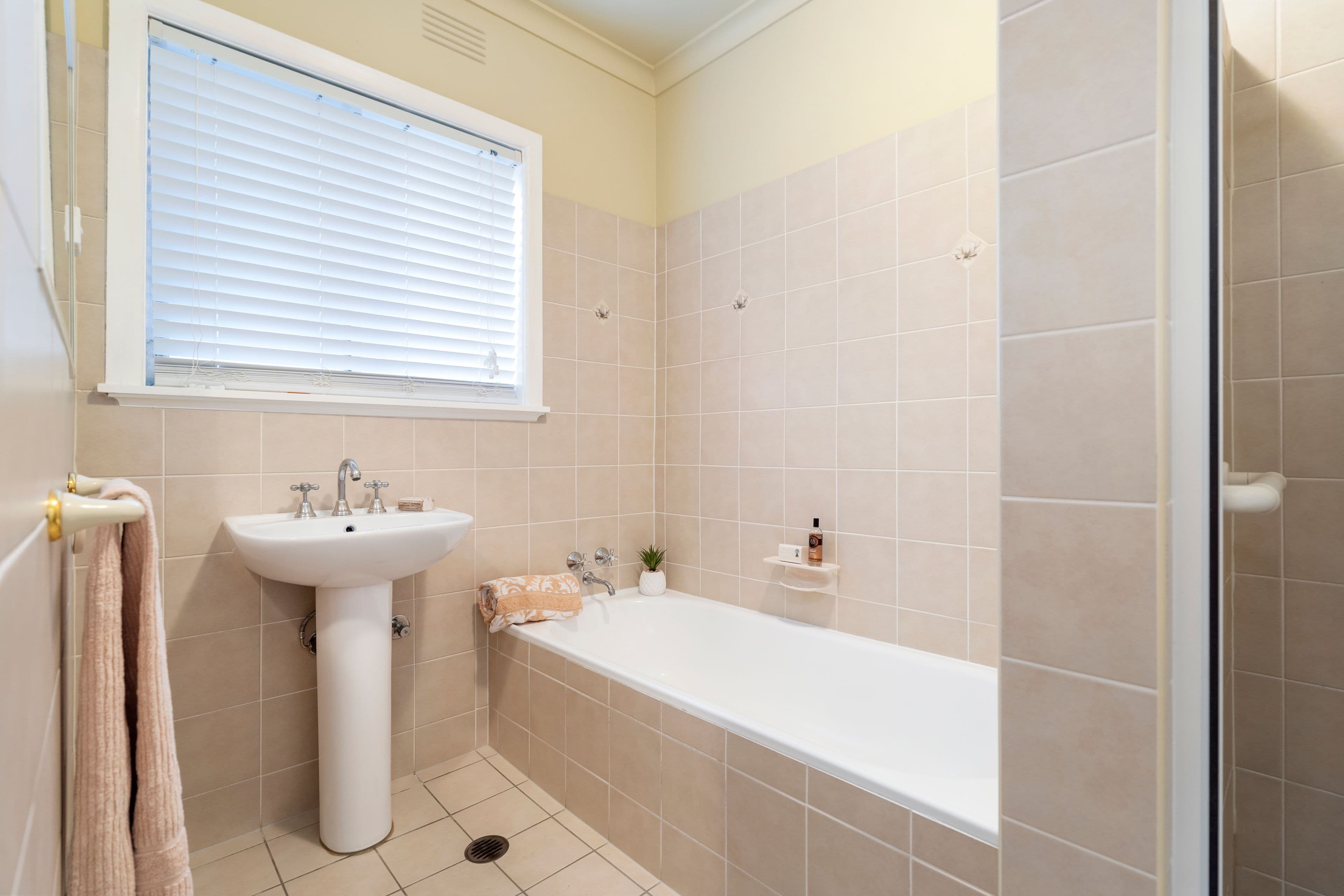 397 Prune Street, Lavington NSW 2641, Lavington - Thumbnail 4