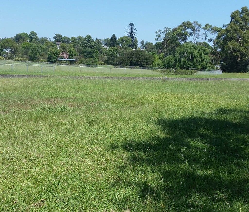 1 Bank Street, Cardiff NSW 2285, Cardiff - Thumbnail 5