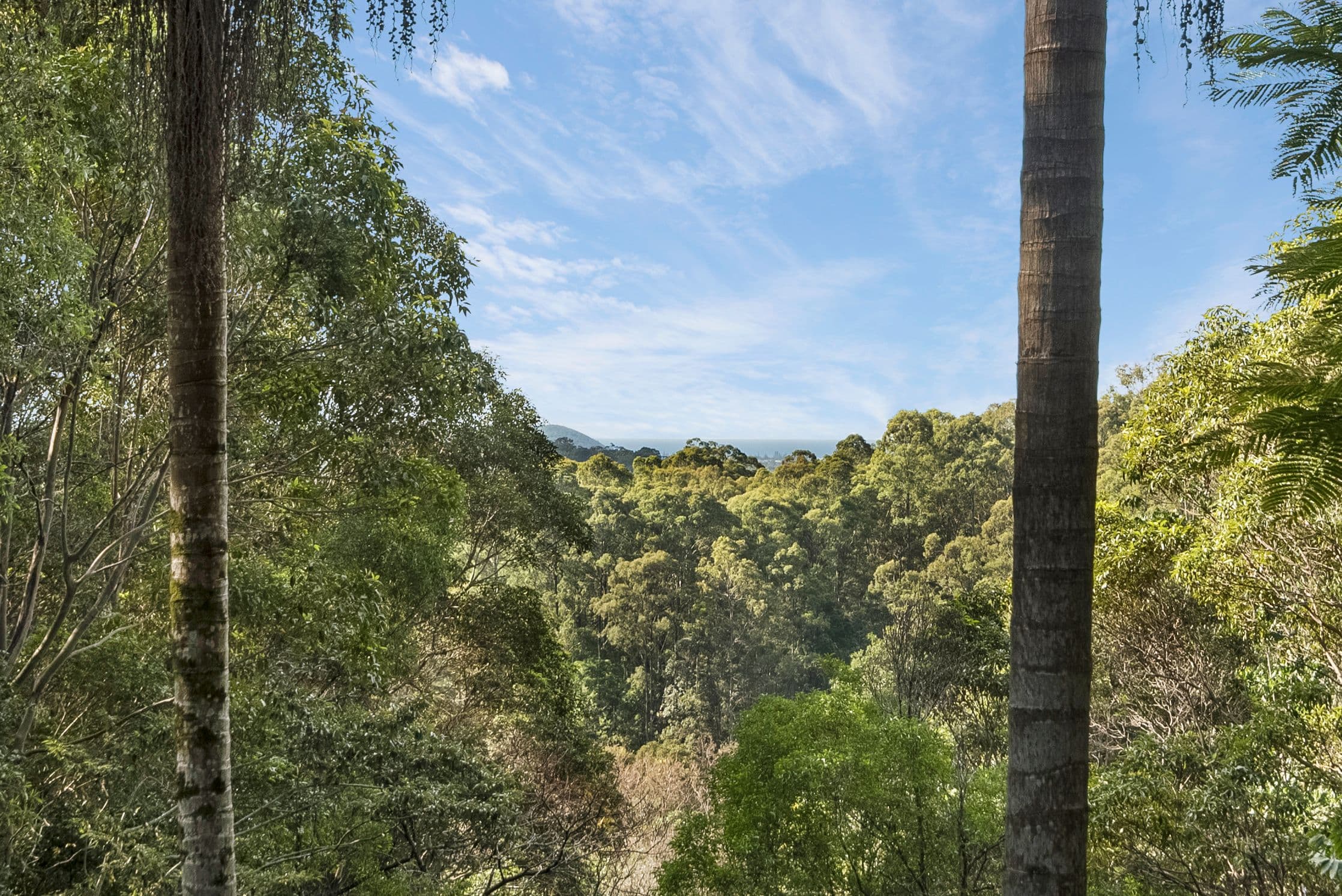 106 Ducats Road, Tallebudgera QLD 4228, Tallebudgera - Thumbnail 4
