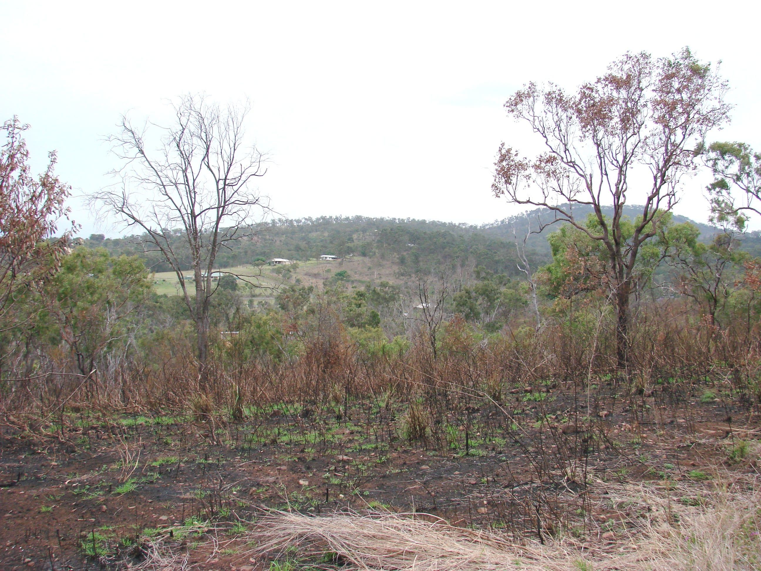 Lot 1, 24 Whitely Street, Mount Morgan QLD 4714, Mount Morgan - Thumbnail 3