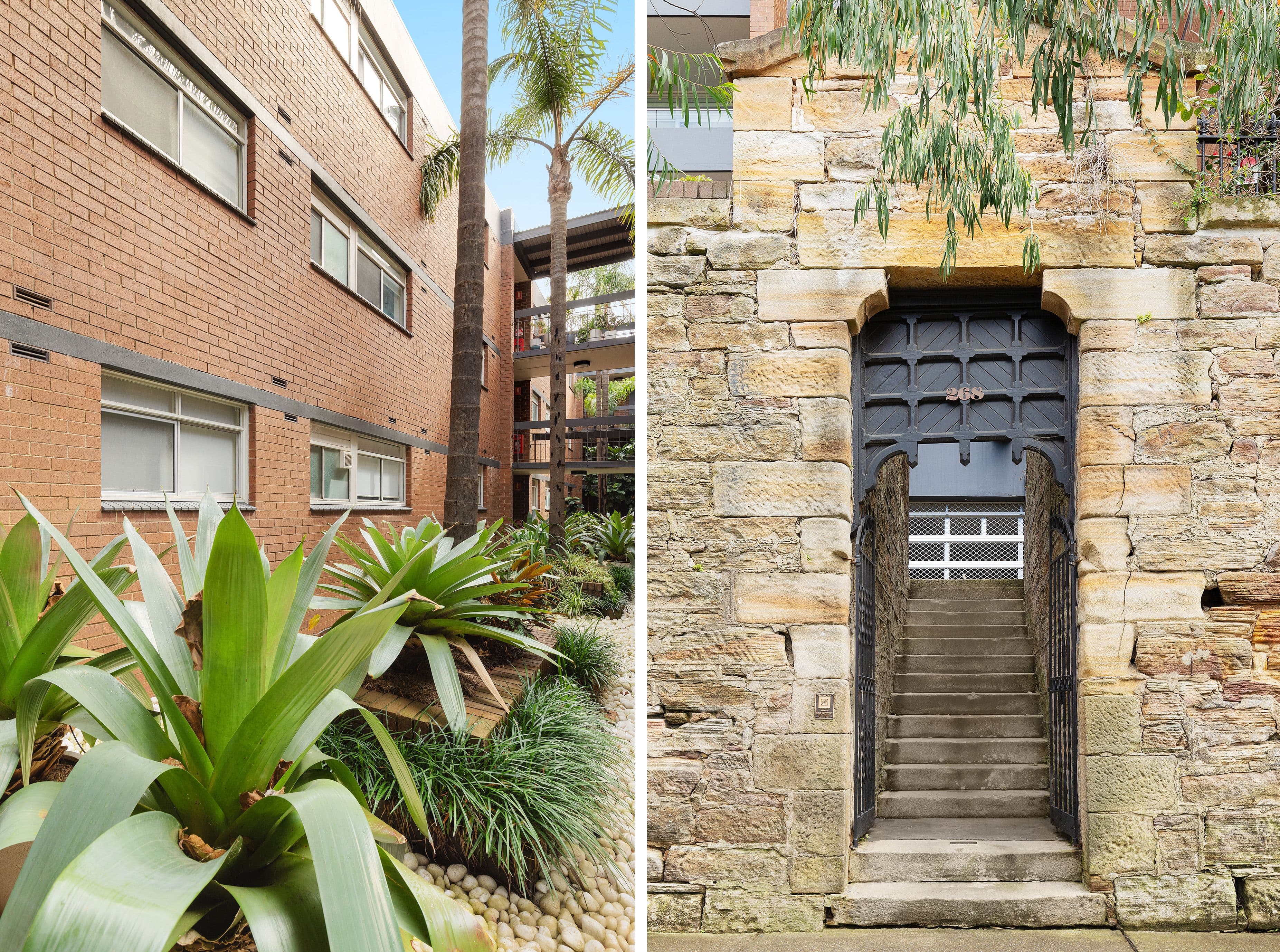 268 Johnston Street, Annandale NSW 2038, Annandale - Thumbnail 8