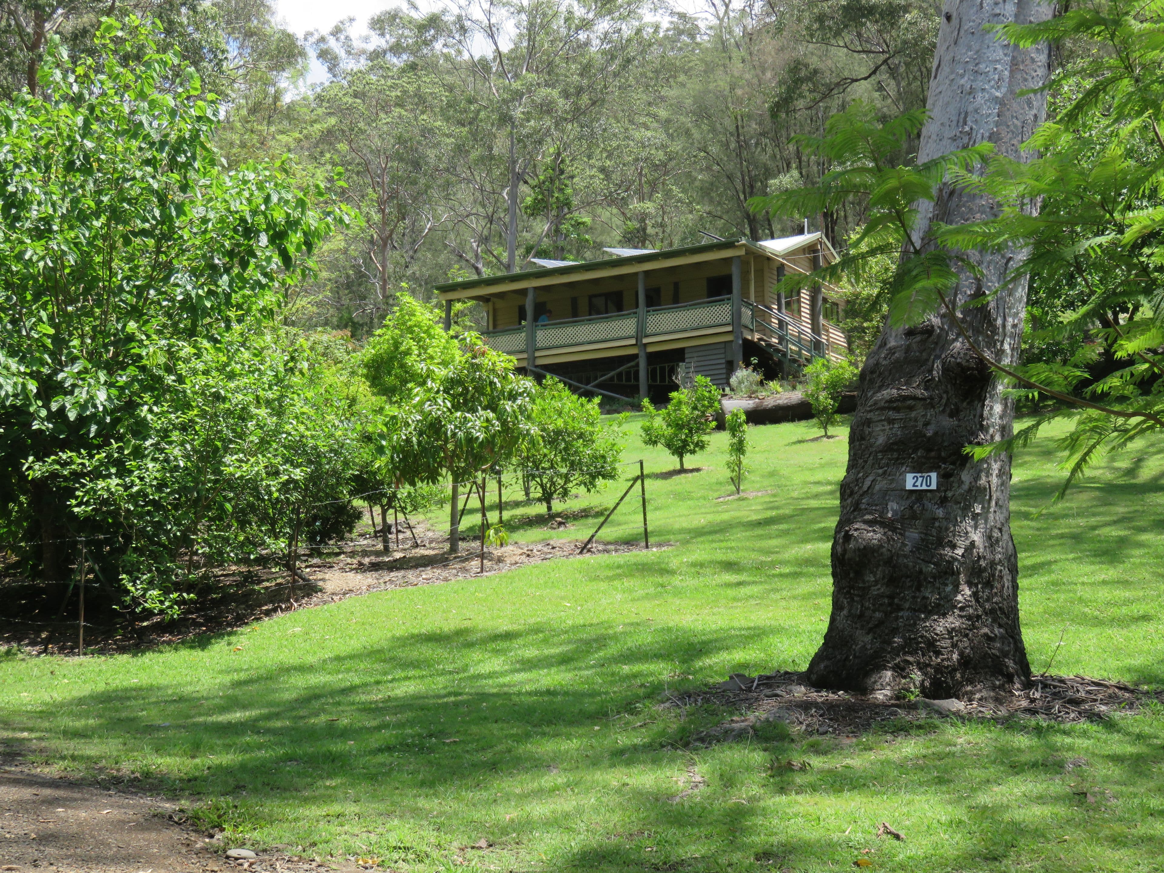 270 Cole Gully Road, Lefthand Branch QLD 4343, Lefthand Branch - Image 1