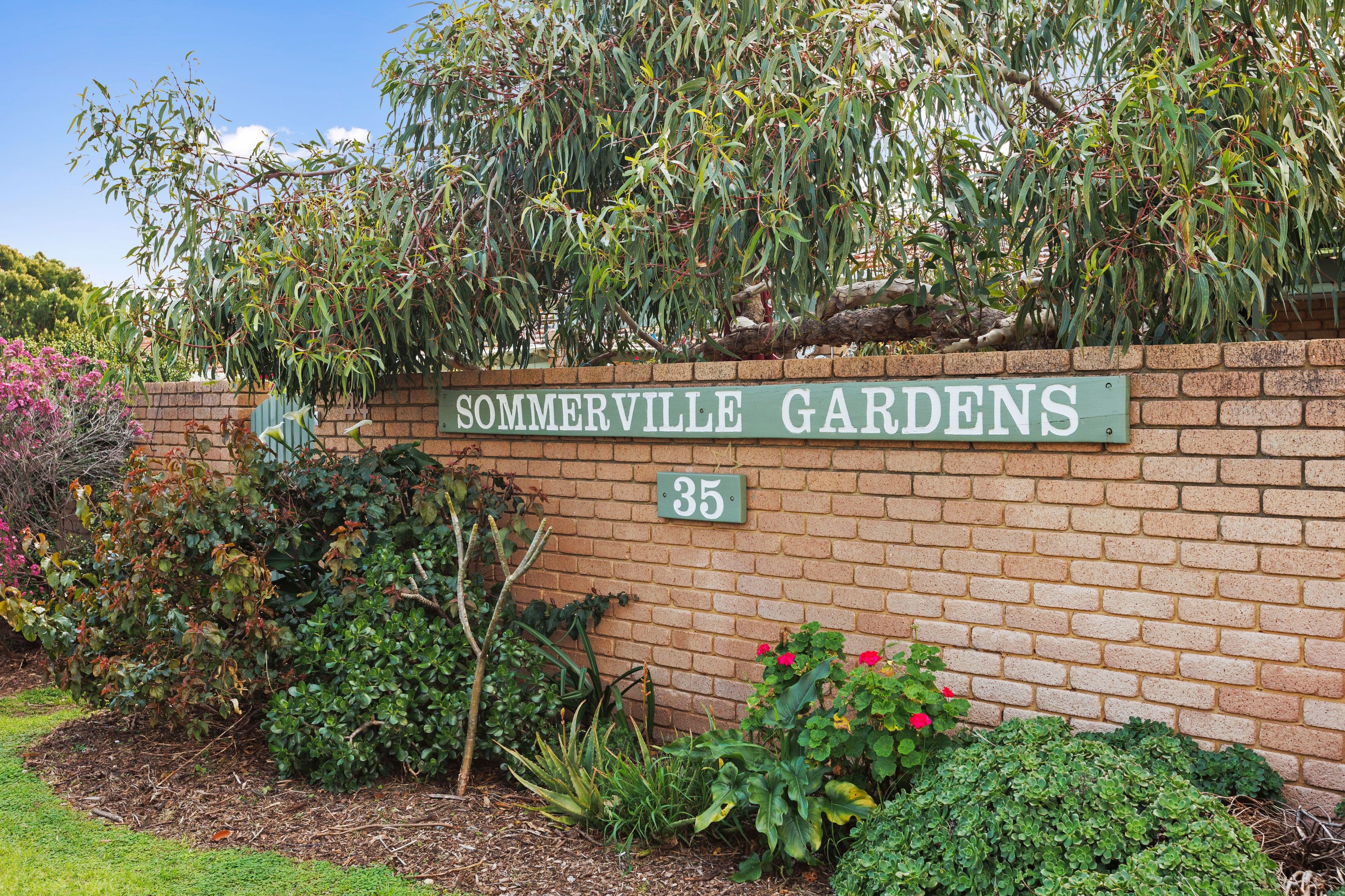 35 Moldavia Street, Tuart Hill WA 6060, Tuart Hill - Thumbnail 4