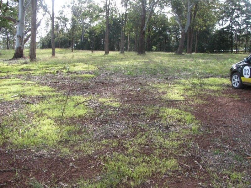 Lot 18 William Street, PECHEY QLD 4352, Pechey - Thumbnail 3