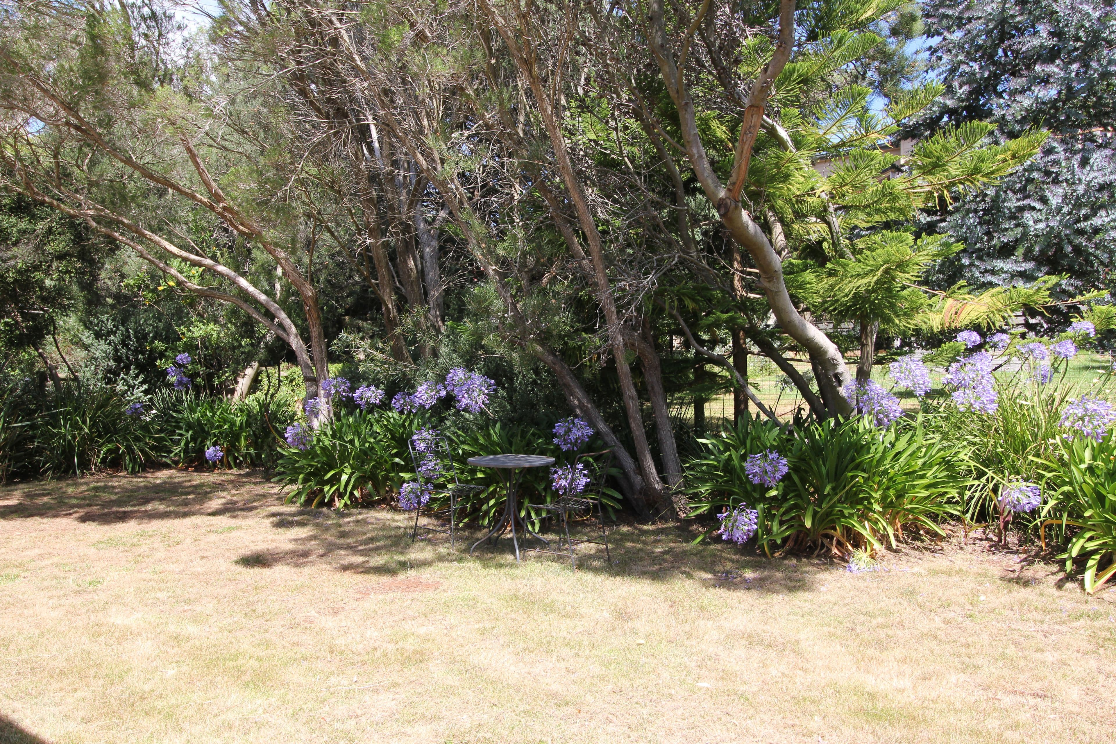 59 Marlin Street, Smiths Beach VIC 3922, Smiths Beach - Thumbnail 3