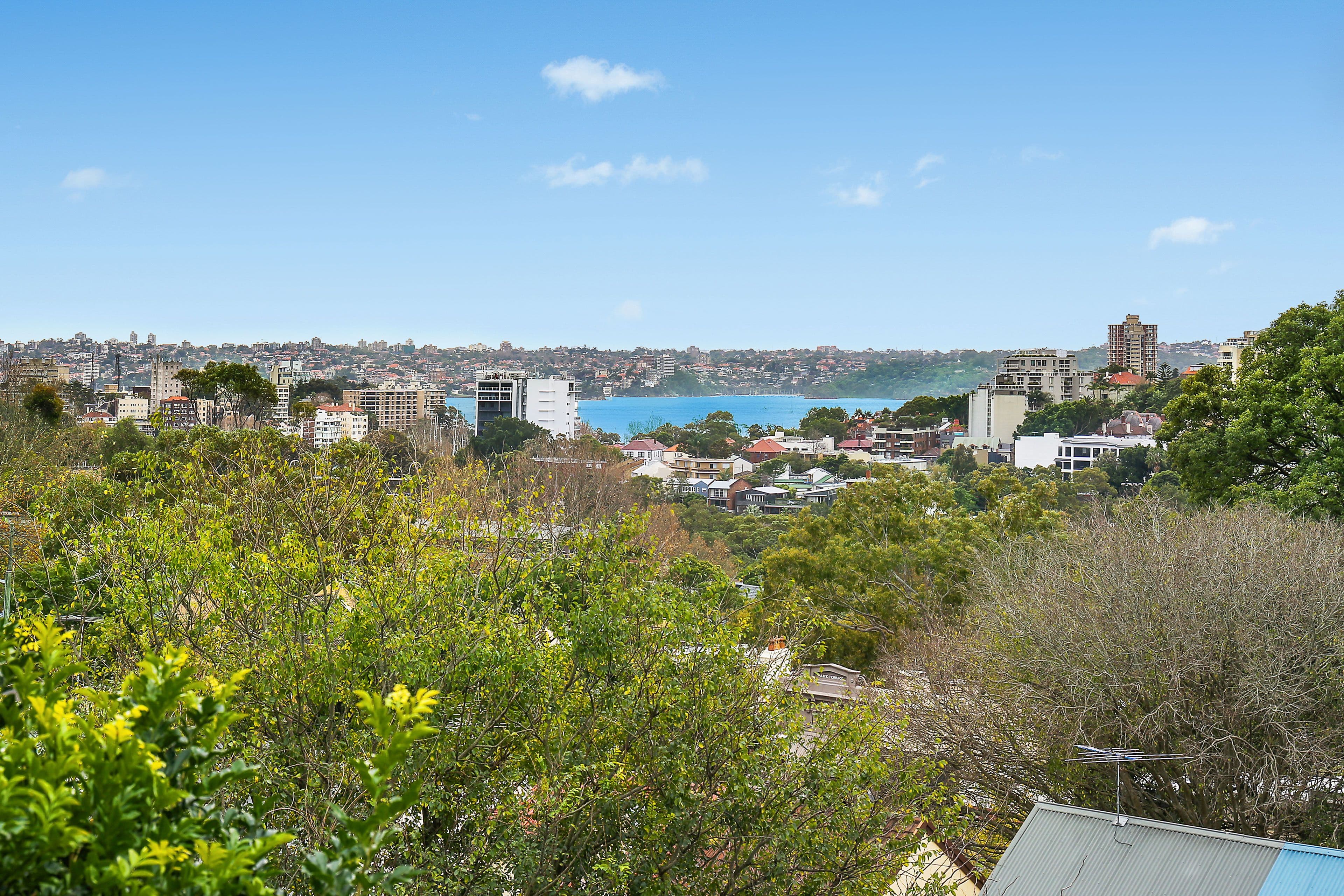 18 Windsor Street, Paddington - Thumbnail 6