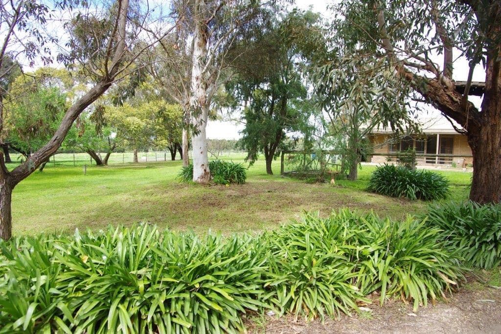 210 Pigdon Street, Portarlington VIC 3223, Portarlington - Thumbnail 3
