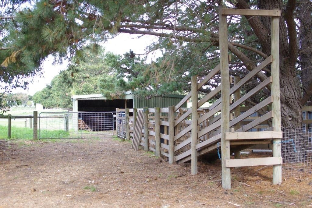 210 Pigdon Street, Portarlington VIC 3223, Portarlington - Thumbnail 5