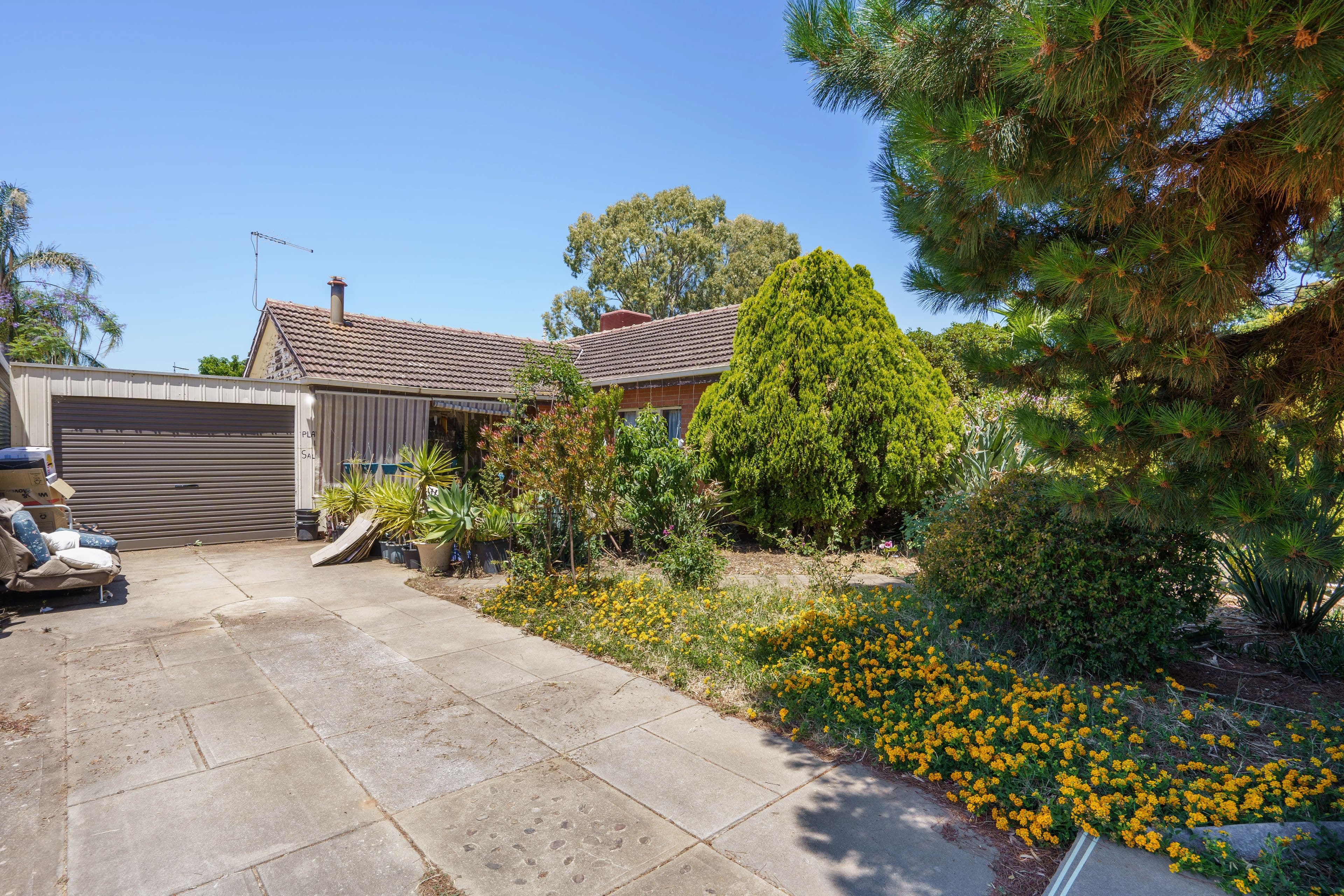 8 Wilfred Avenue, Salisbury SA 5108, Salisbury - Thumbnail 3
