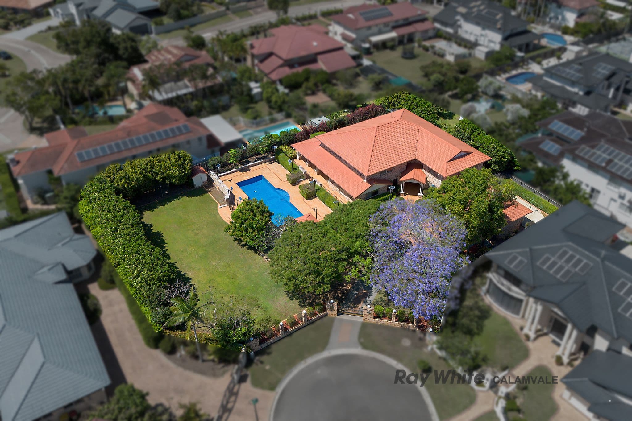 26 Greenfield Place, Sunnybank Hills QLD 4109, Sunnybank Hills - Thumbnail 2