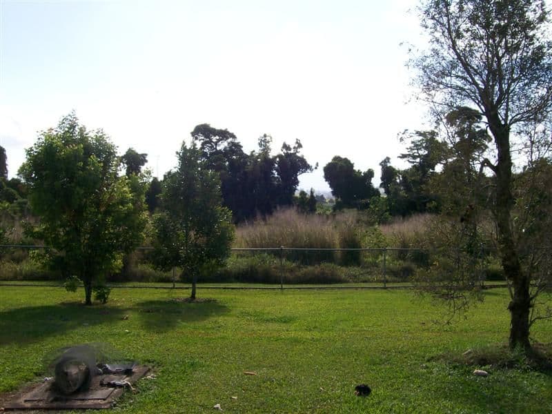 242 Palmerston Highway, INNISFAIL QLD 4860, Innisfail - Thumbnail 8