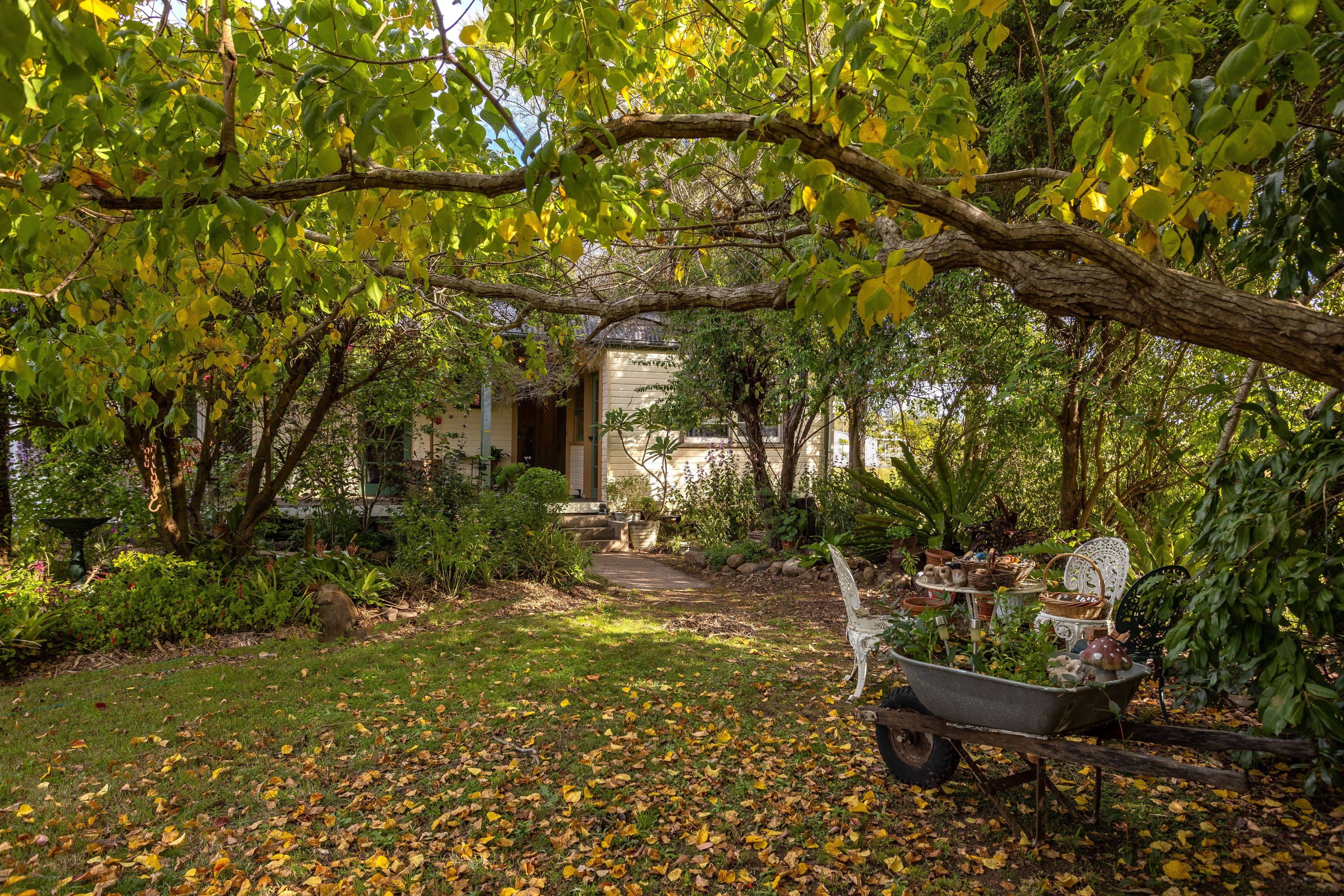 18 Mortimer Street, Wingham NSW 2429, Wingham - Thumbnail 2