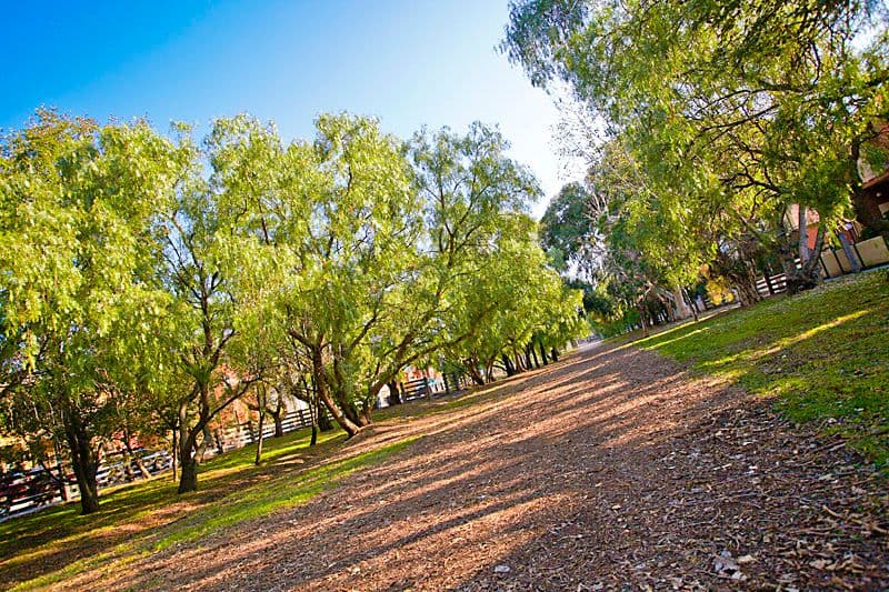 8 Sims Square, KENSINGTON VIC 3031, Kensington - Thumbnail 7