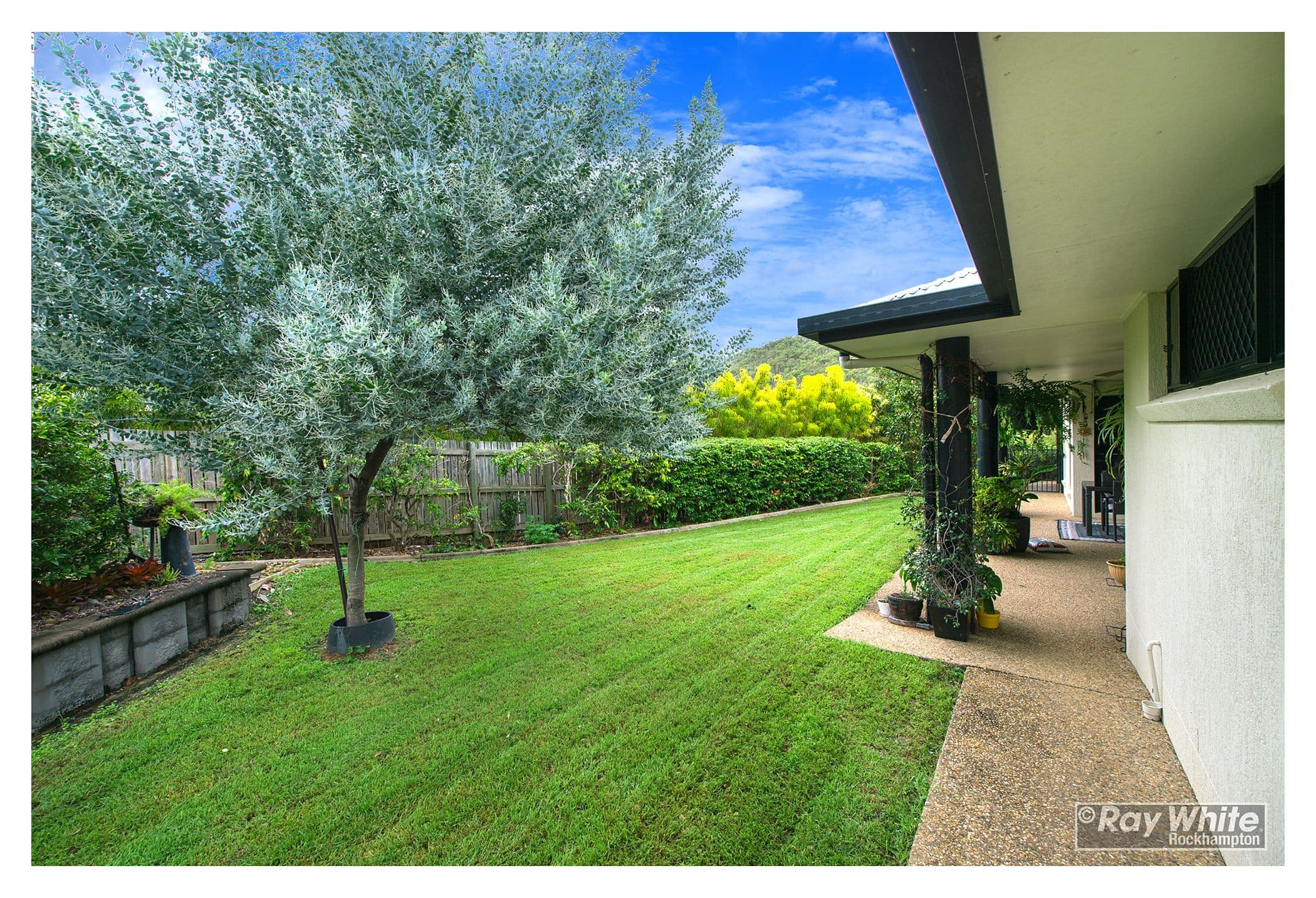 23 Haven Close, Norman Gardens QLD 4701, Norman Gardens - Thumbnail 4