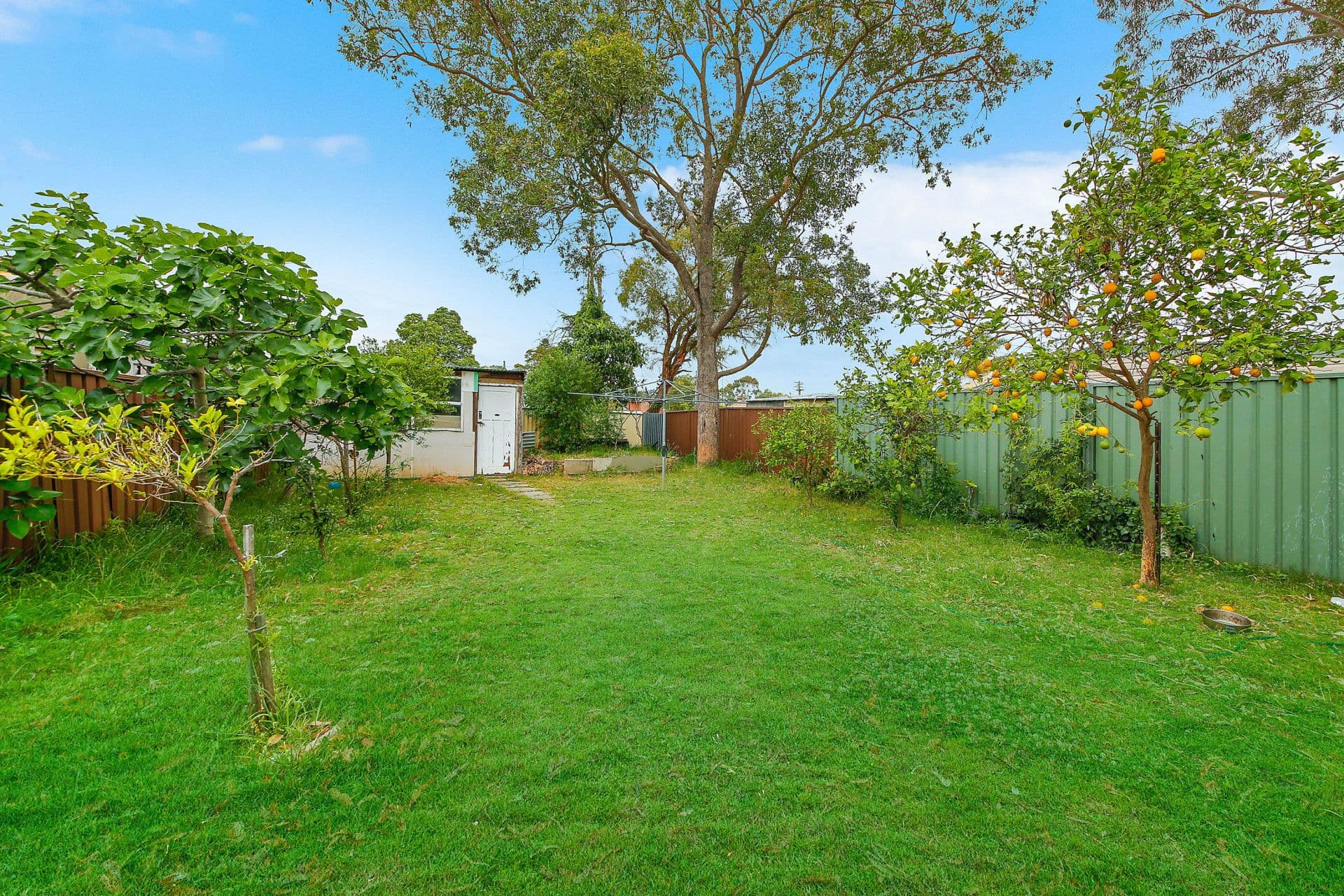 58 Sheffield Street, Auburn - Thumbnail 6