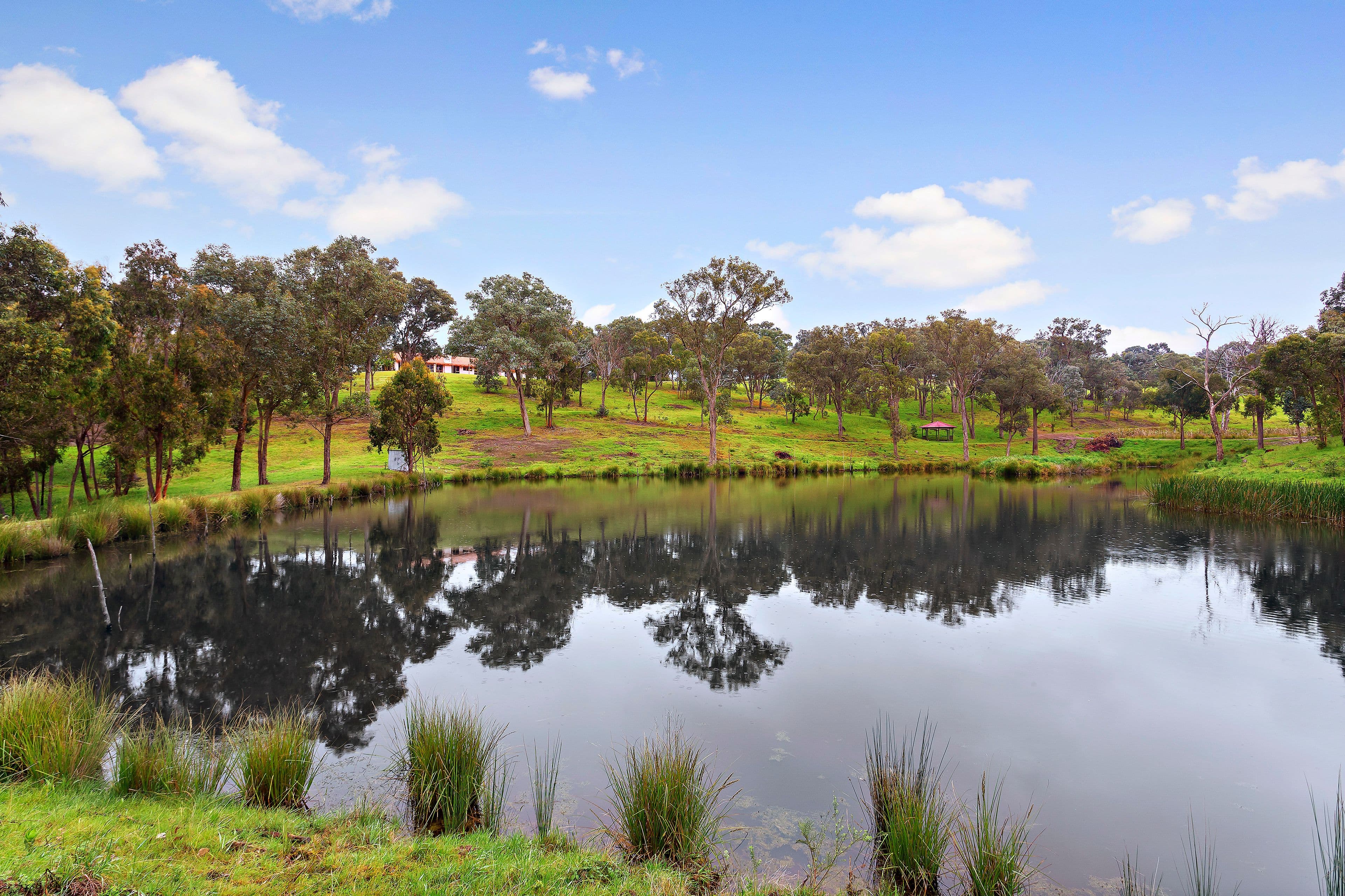 17 Robbies Road, Yarrambat VIC 3091, Yarrambat - Thumbnail 3