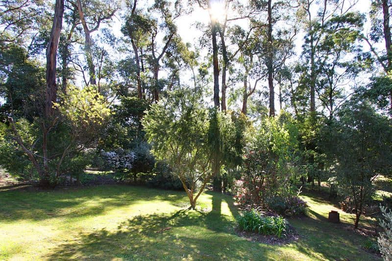 6 Godber Court, UPWEY VIC 3158, Upwey - Thumbnail 5
