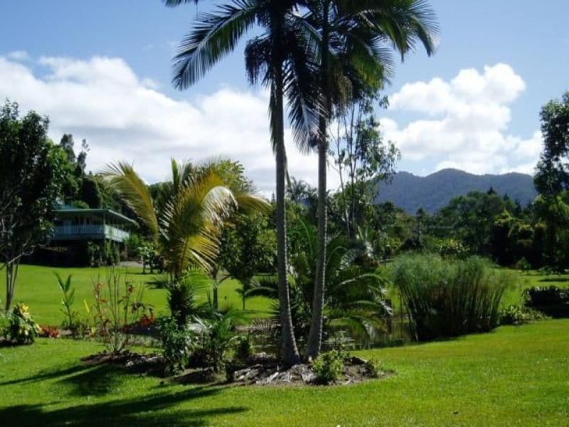 61 WINDSOR VIEW Road, JULATTEN QLD 4871, Julatten - Thumbnail 2