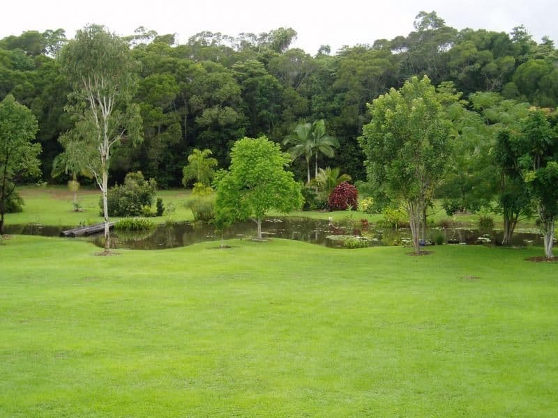 61 WINDSOR VIEW Road, JULATTEN QLD 4871, Julatten - Thumbnail 4