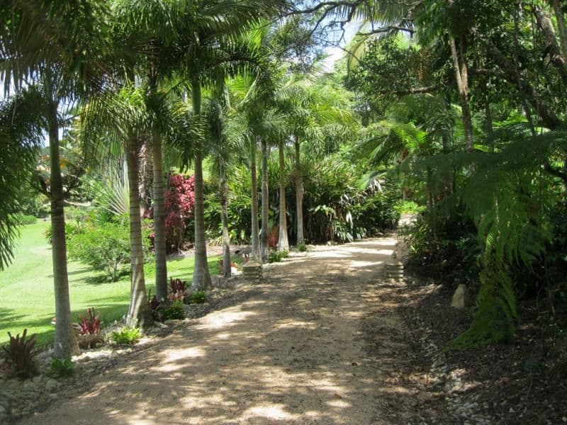 61 WINDSOR VIEW Road, JULATTEN QLD 4871, Julatten - Thumbnail 5