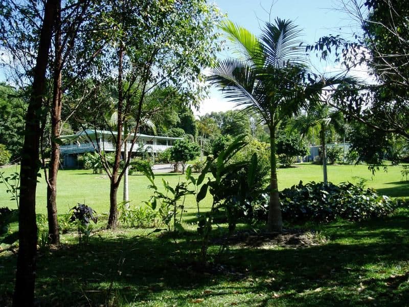 61 WINDSOR VIEW Road, JULATTEN QLD 4871, Julatten - Thumbnail 6