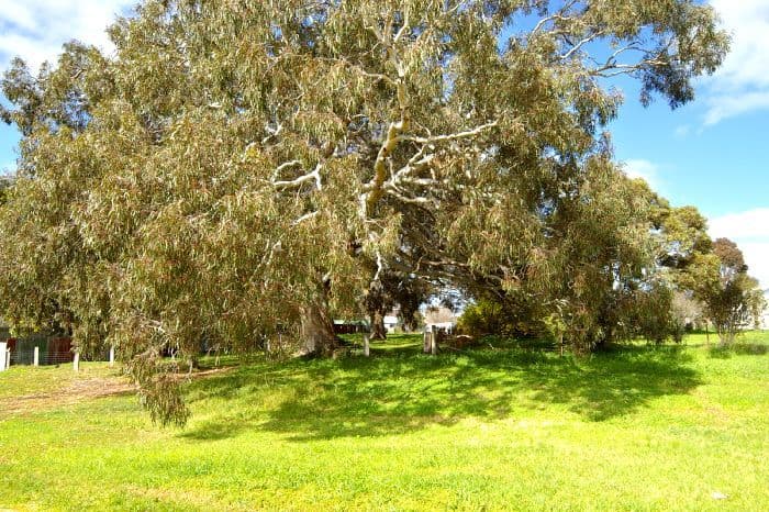 36 High Street, INVERLEIGH VIC 3321, Inverleigh - Thumbnail 4