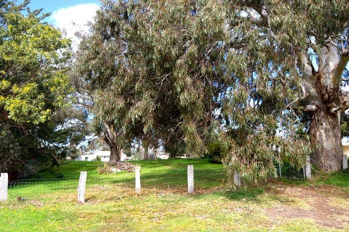36 High Street, INVERLEIGH VIC 3321, Inverleigh - Thumbnail 7