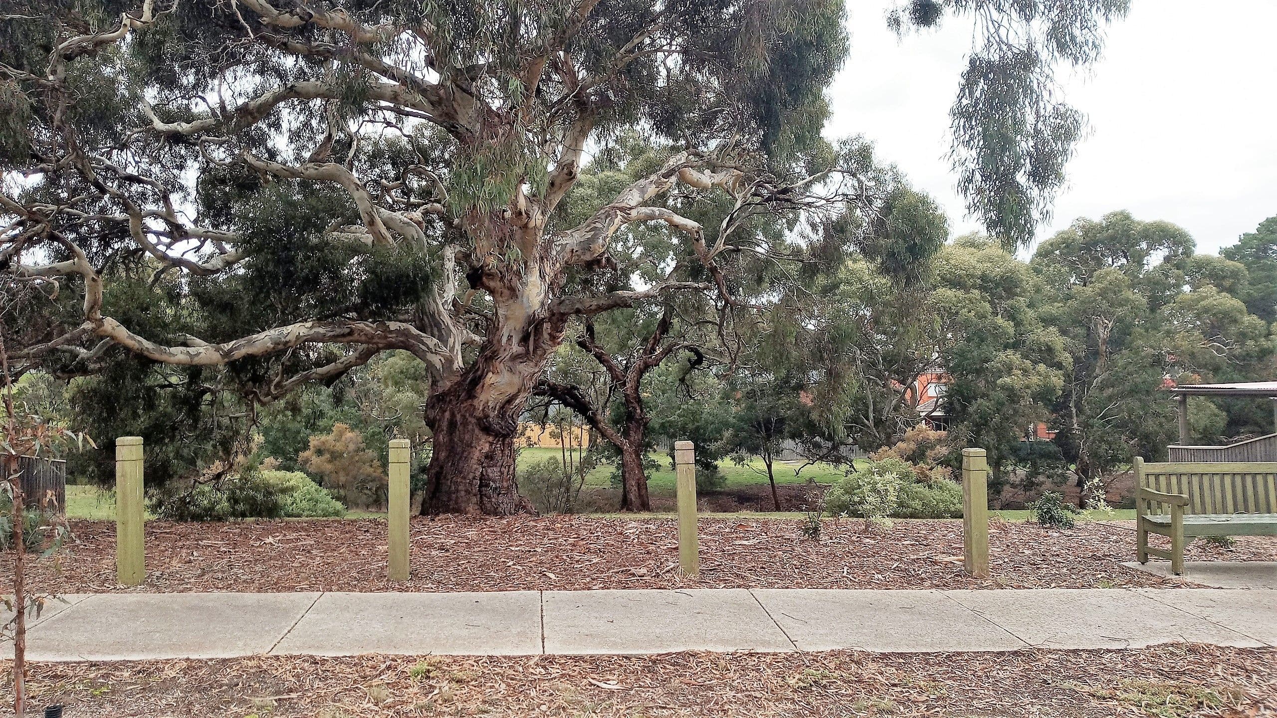 9 Wallaby Walk, Sunbury VIC 3429, Sunbury - Thumbnail 8