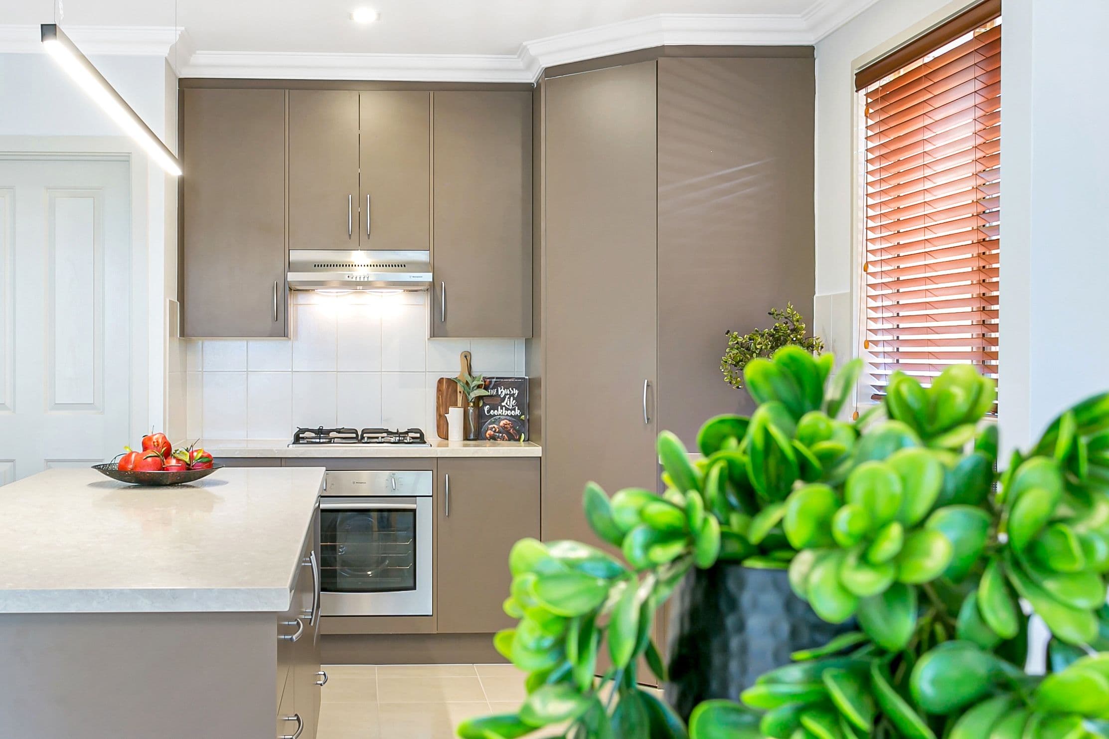 19B Cortlyne Road, Rostrevor SA 5073, Rostrevor - Thumbnail 7