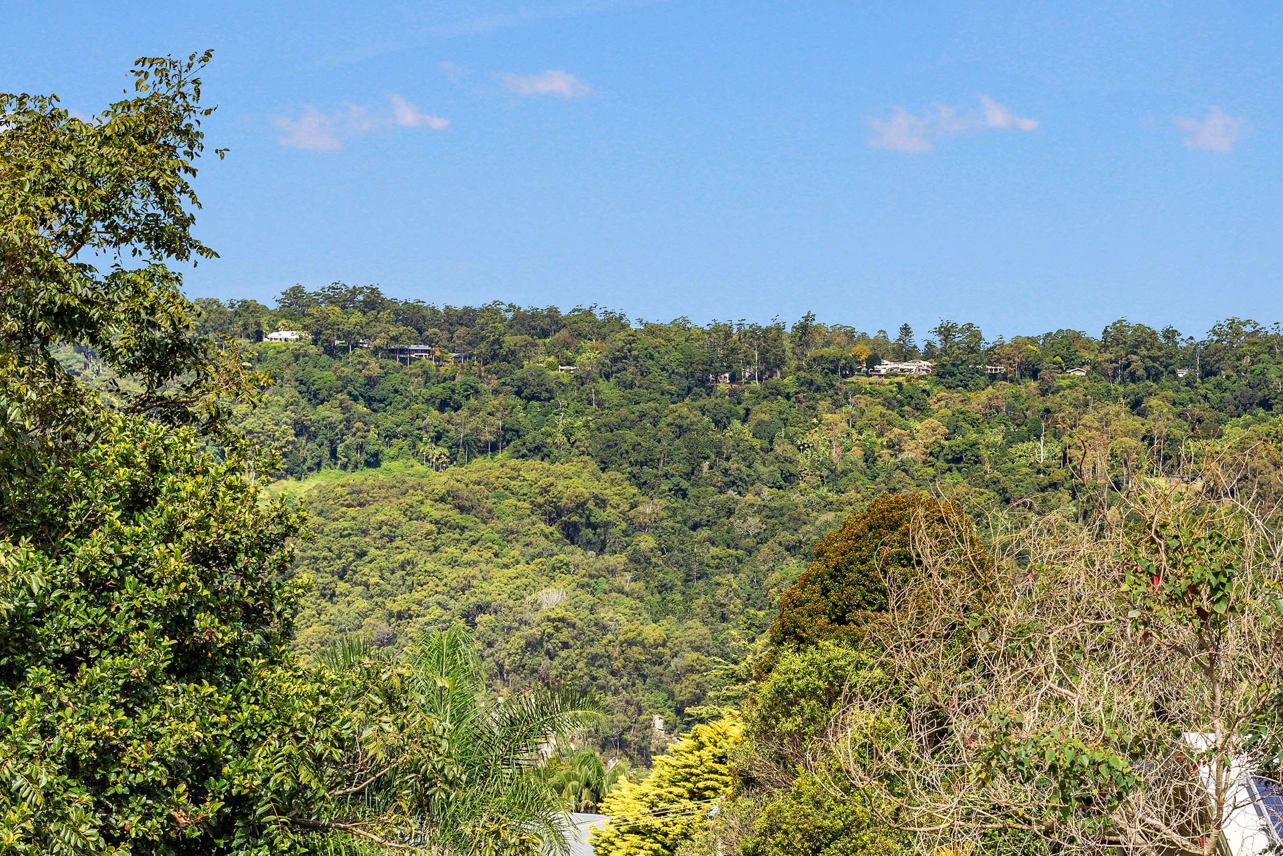 5 Justin Avenue, Tamborine Mountain QLD 4272, Tamborine Mountain - Thumbnail 4