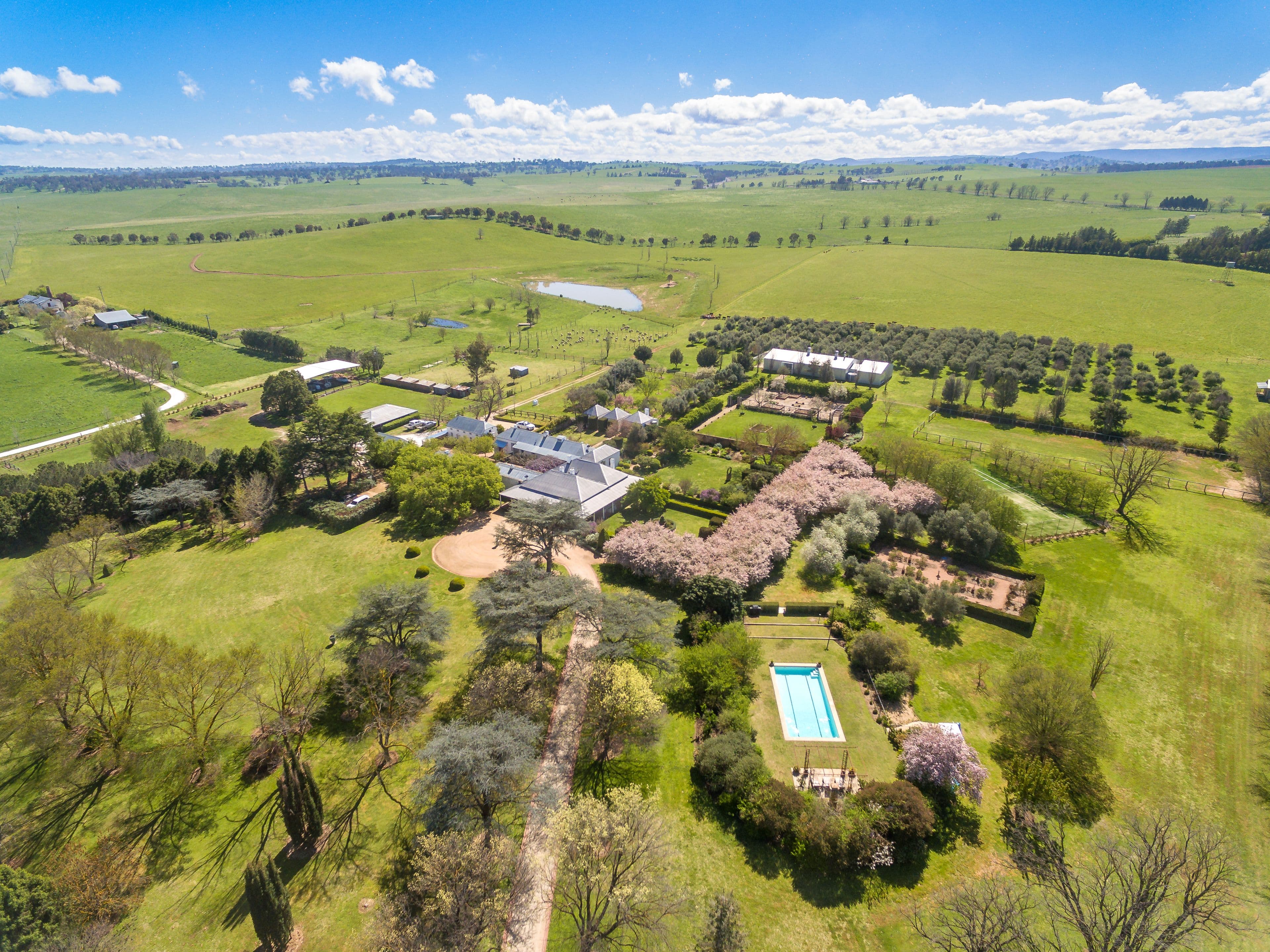 90 Eleven Mile Drive, Eglinton NSW 2795, Eglinton - Image 1