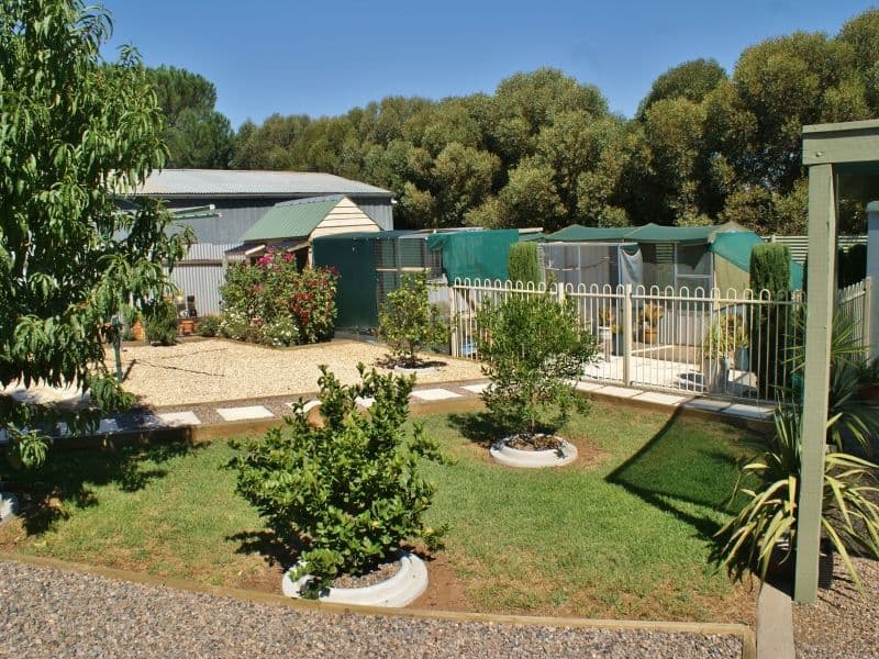 69 Princes Highway, MURRAY BRIDGE SA 5253, Murray Bridge East - Thumbnail 7