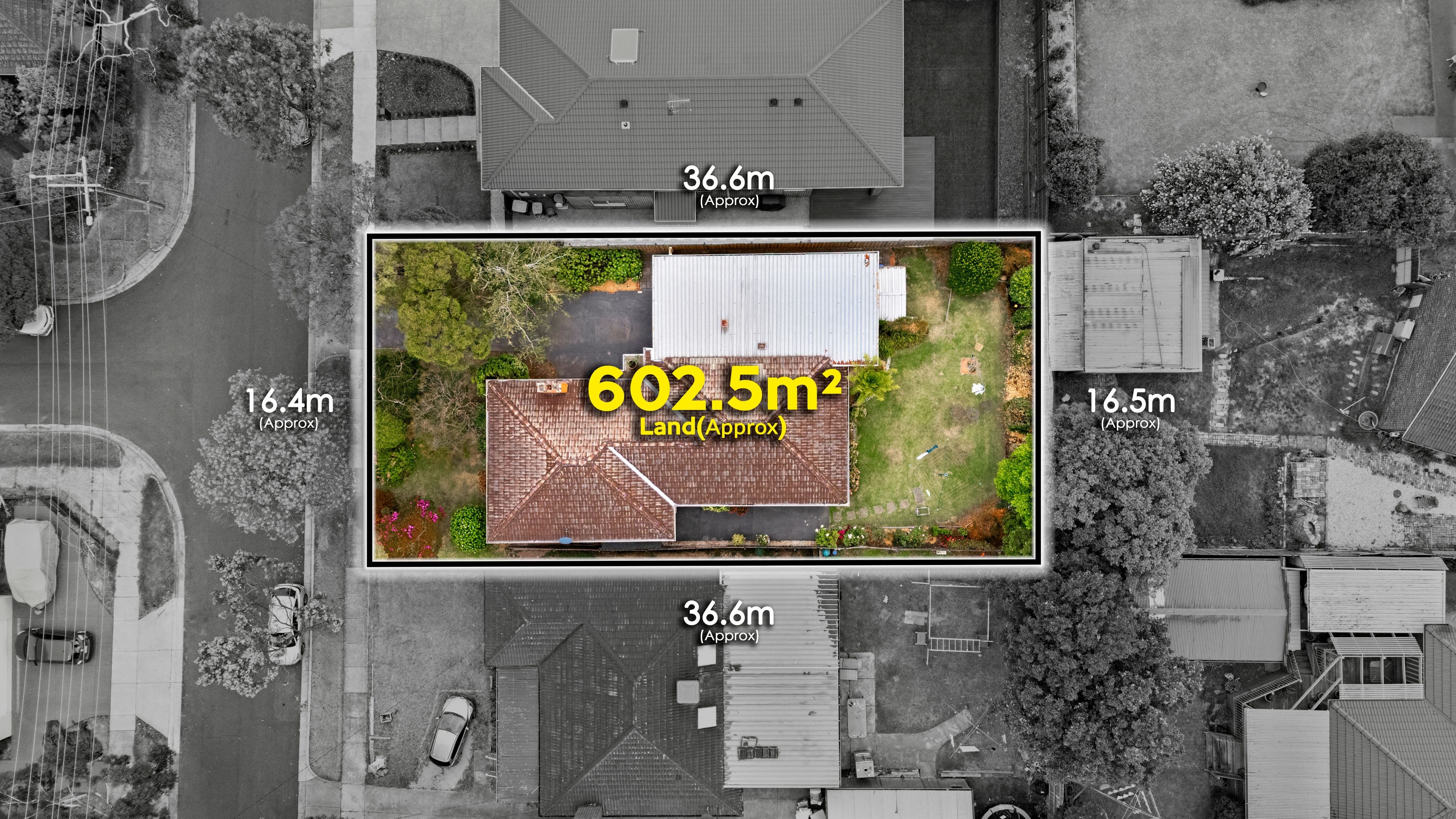 29 Cyprus Avenue, Nunawading VIC 3131, Nunawading - Thumbnail 3