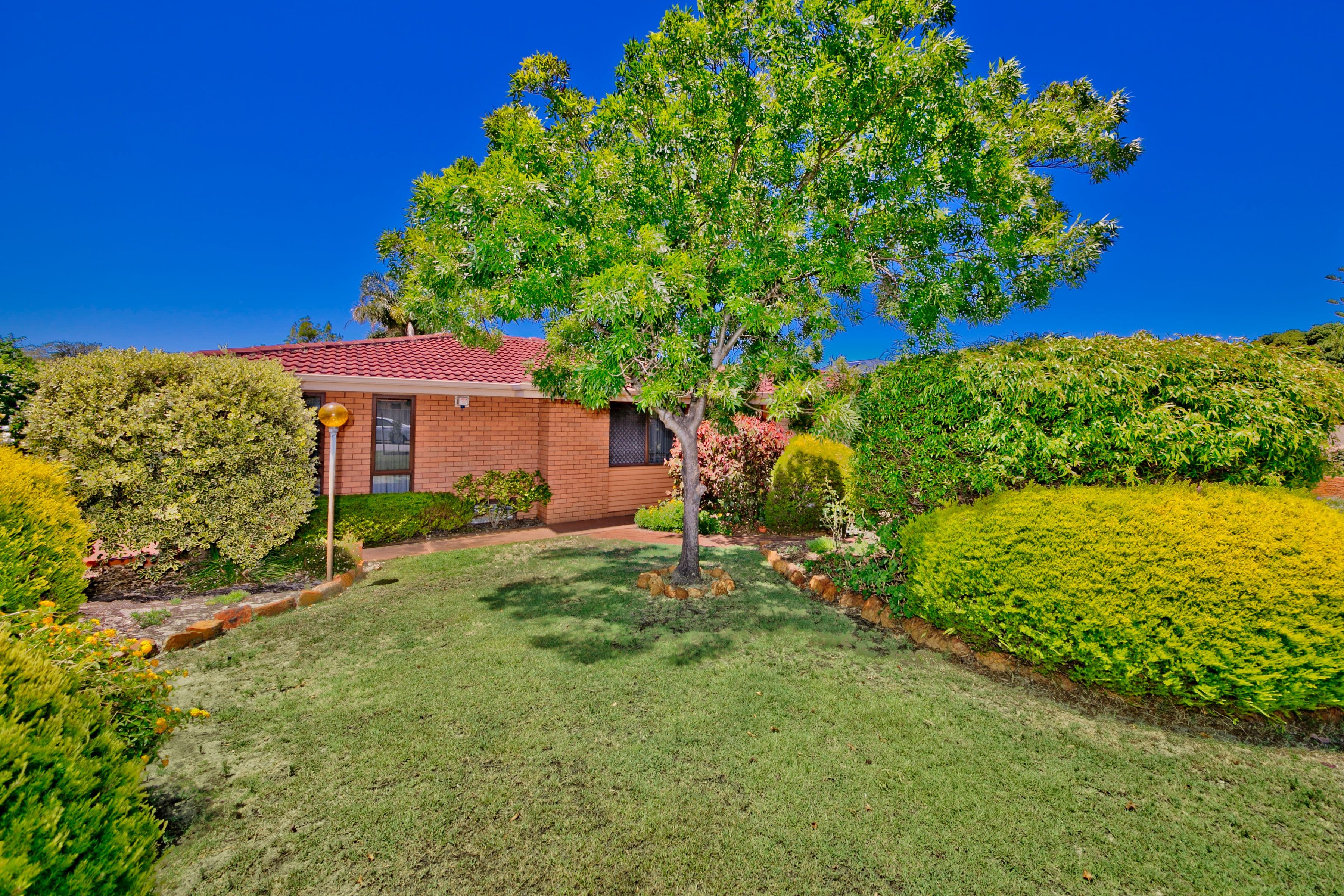 20 Bohemia Place, Noranda WA 6062, Noranda - Thumbnail 4