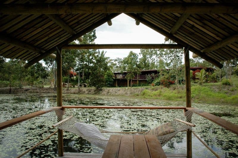 35 Pandanus Place, SPEEWAH QLD 4881, Speewah - Thumbnail 2