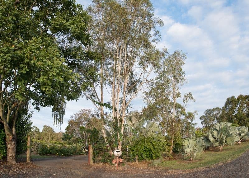 35 Pandanus Place, SPEEWAH QLD 4881, Speewah - Thumbnail 5