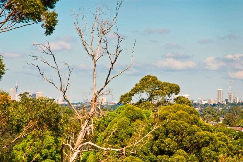 7 Louise Simon Court, Leongatha, VIC, 3953, Leongatha - Thumbnail 4