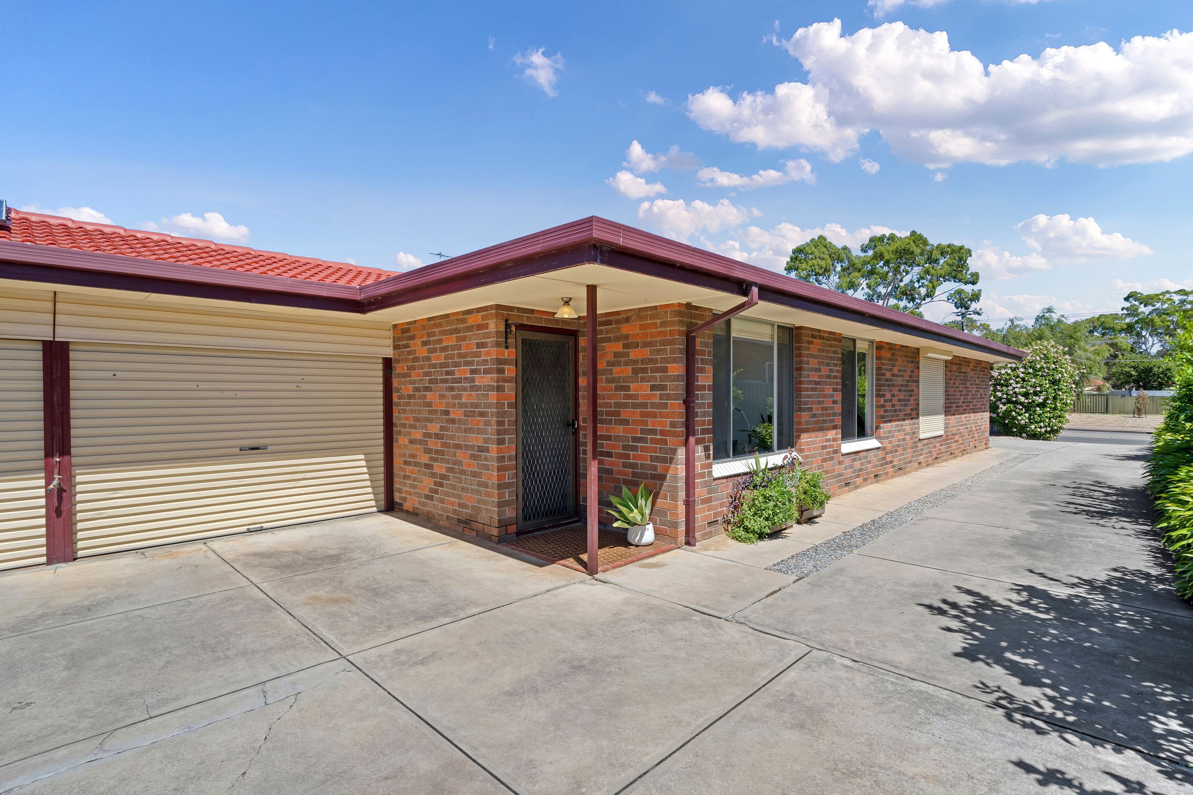 803 Marion Road, Mitchell Park SA 5043, Mitchell Park - Image 1