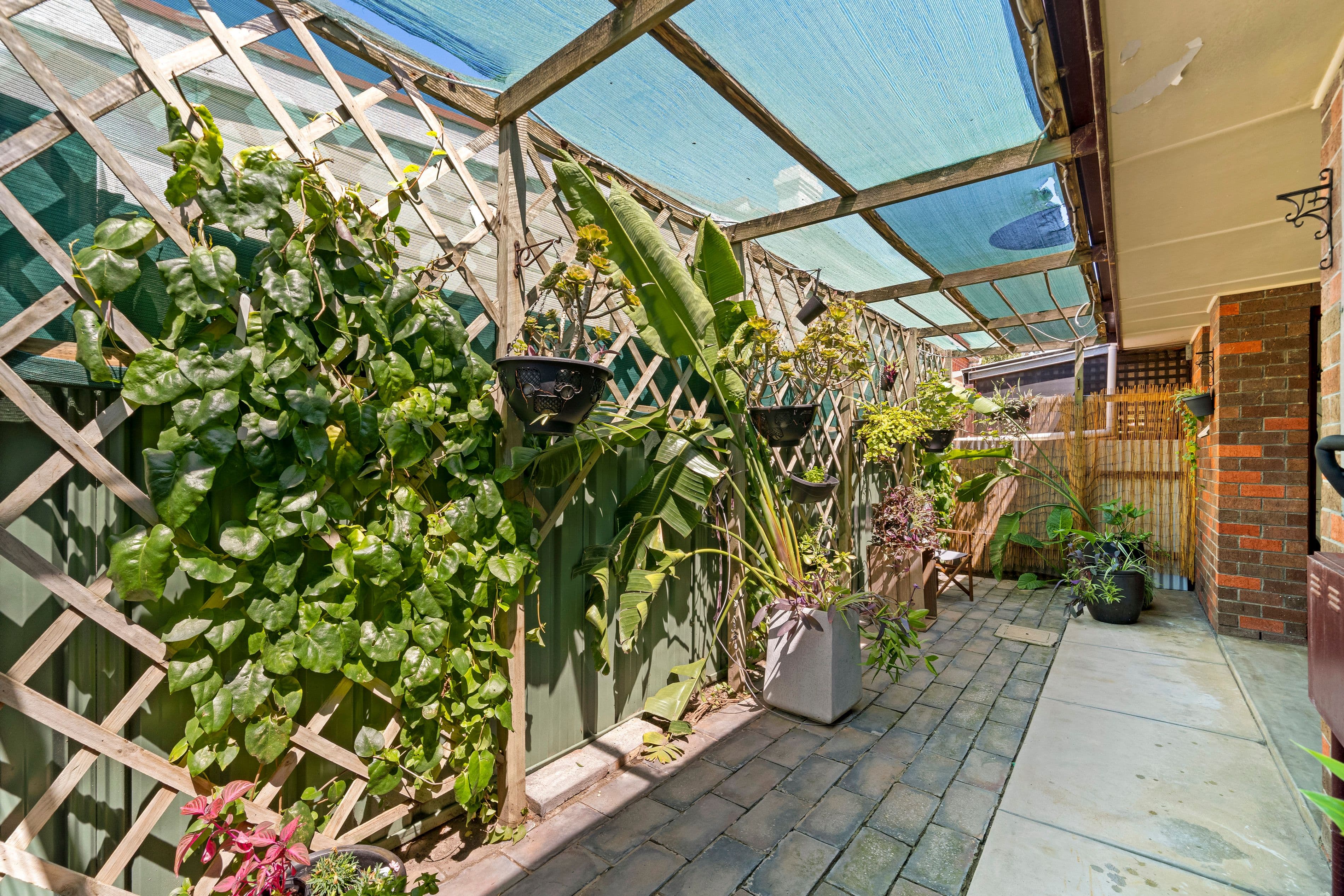 803 Marion Road, Mitchell Park SA 5043, Mitchell Park - Thumbnail 7